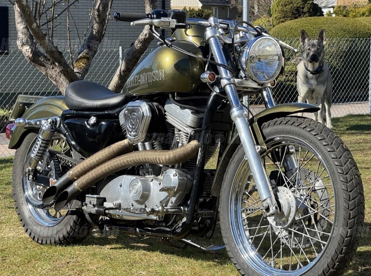 HARLEY-DAVIDSON SPORTSTER 883 2001 - 1