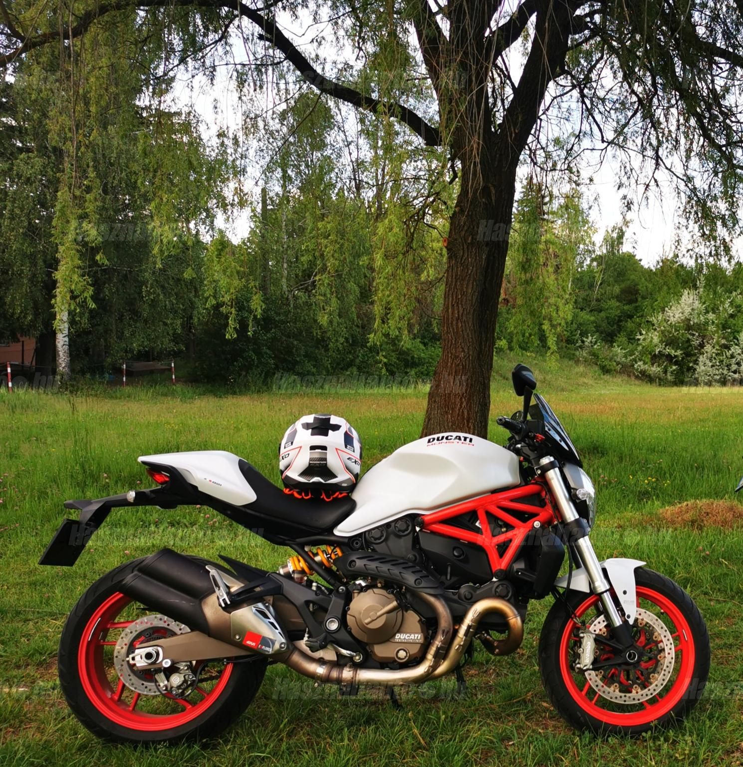 DUCATI MONSTER 821 2015/10 - 1