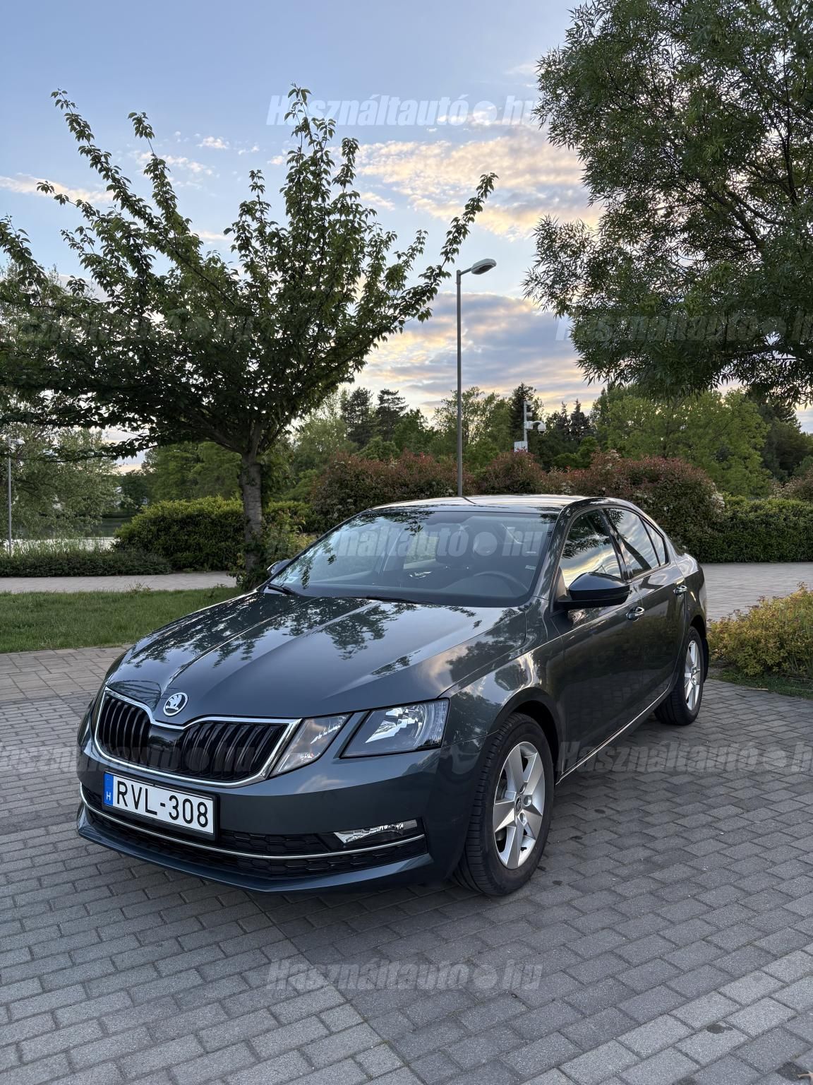SKODA OCTAVIA 2019/11 - 1