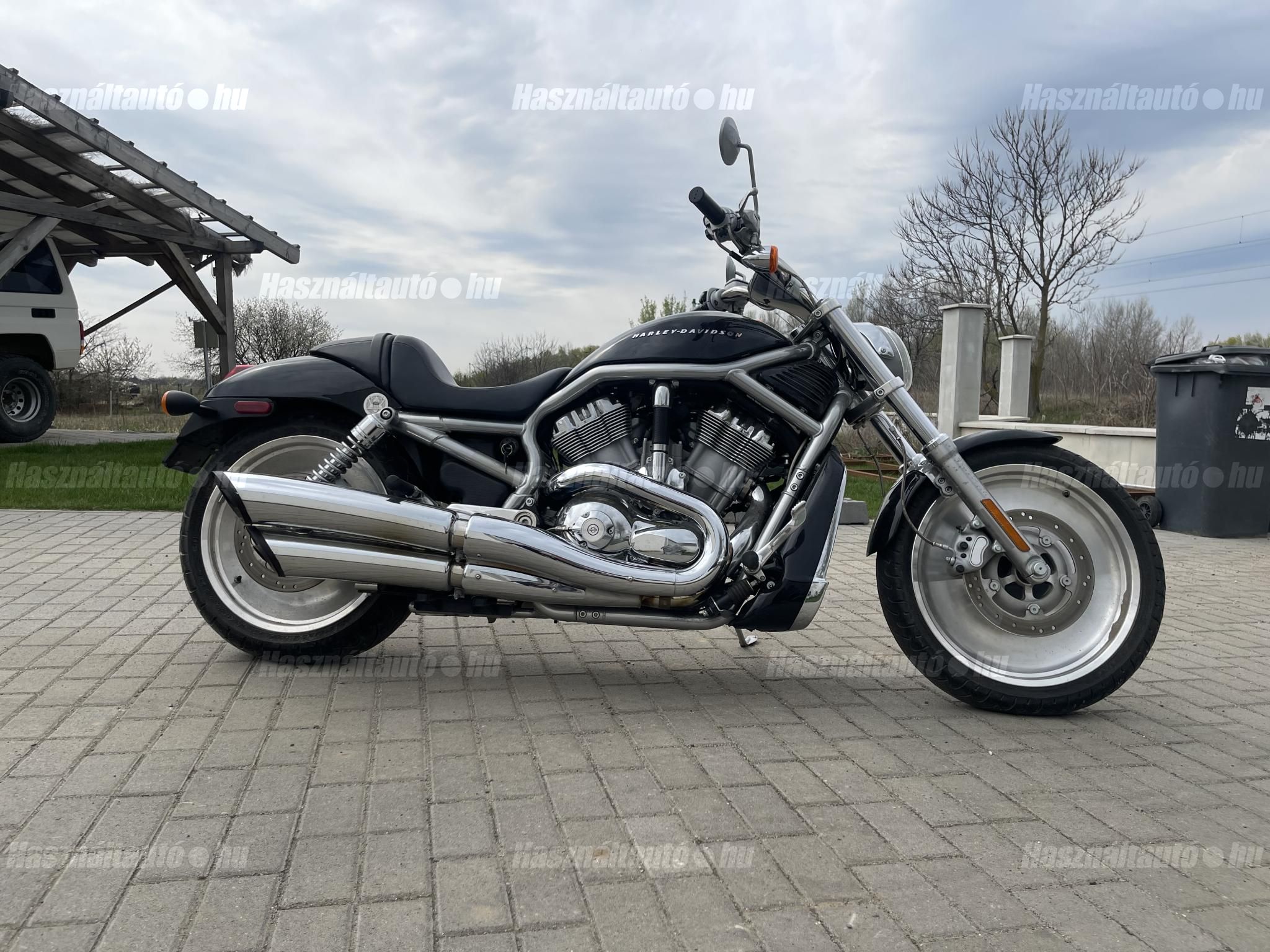 HARLEY-DAVIDSON V-ROD (VRSCA) 2004 - 1