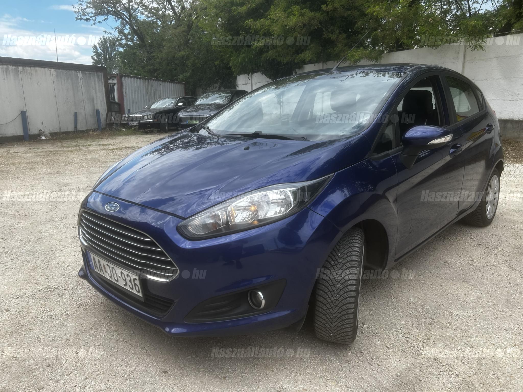 FORD FIESTA 2014/3 - 1