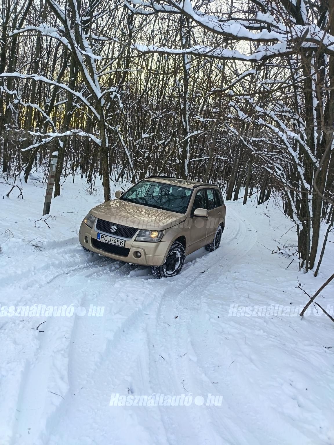 SUZUKI GRAND VITARA 2009/6 - 1