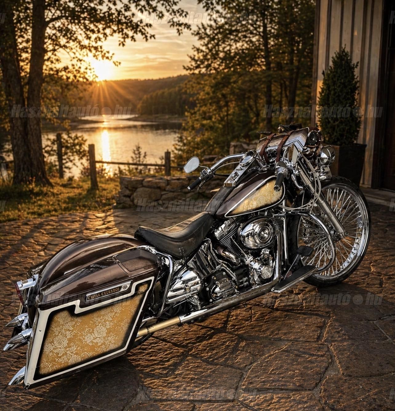 HARLEY-DAVIDSON SOFTAIL 2007 - 1