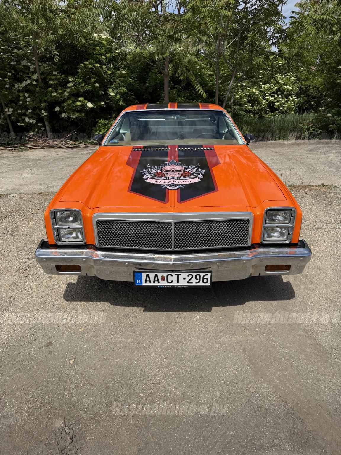 CHEVROLET EL CAMINO 1973/6 - 1