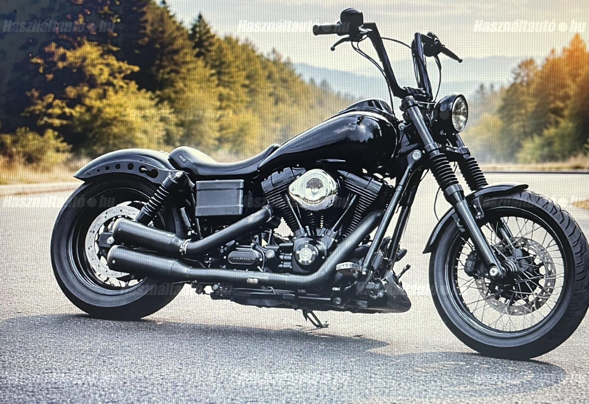 HARLEY-DAVIDSON DYNA 2006/12 - 1