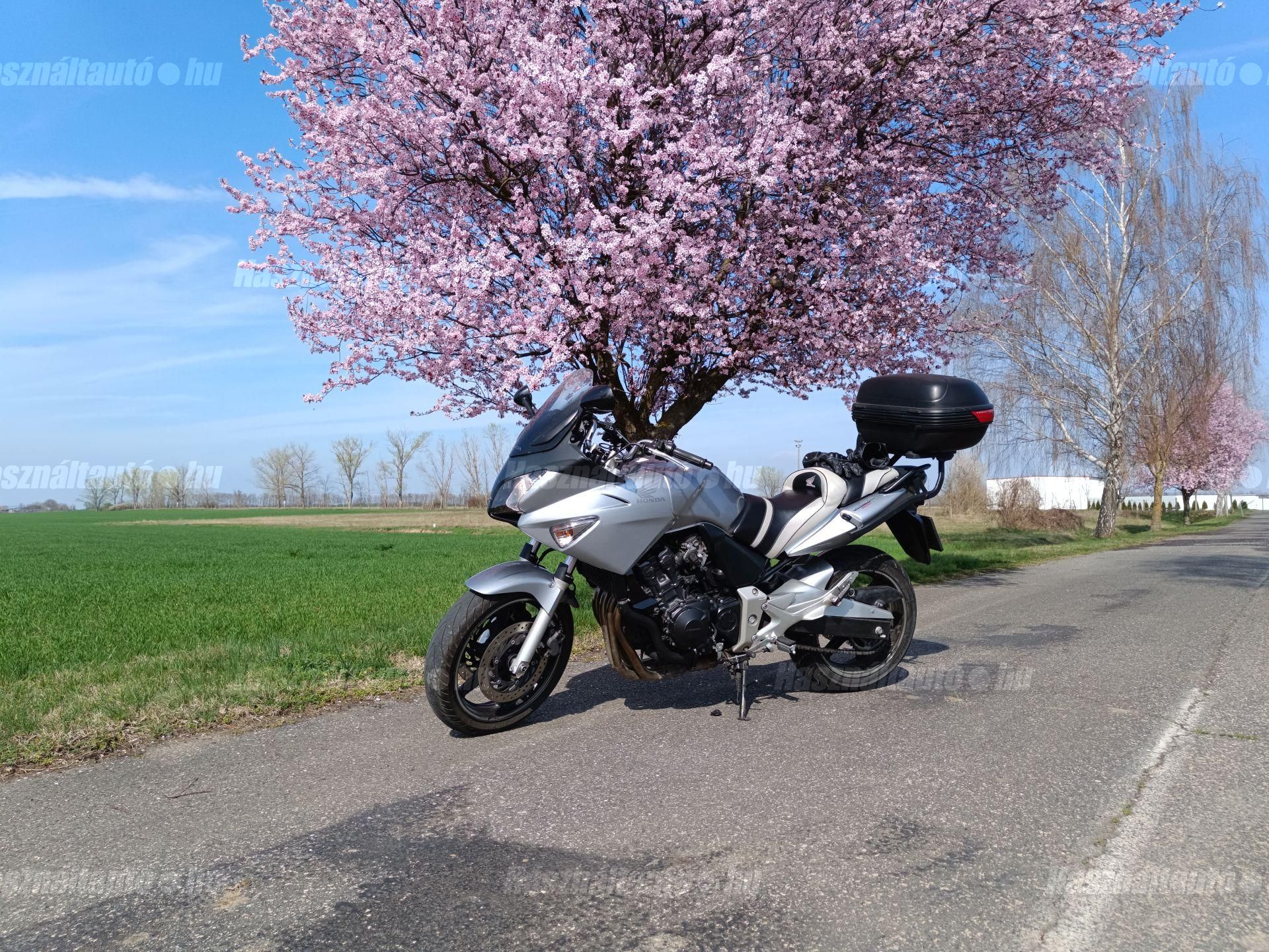HONDA CBF 600 2006/7 - 1