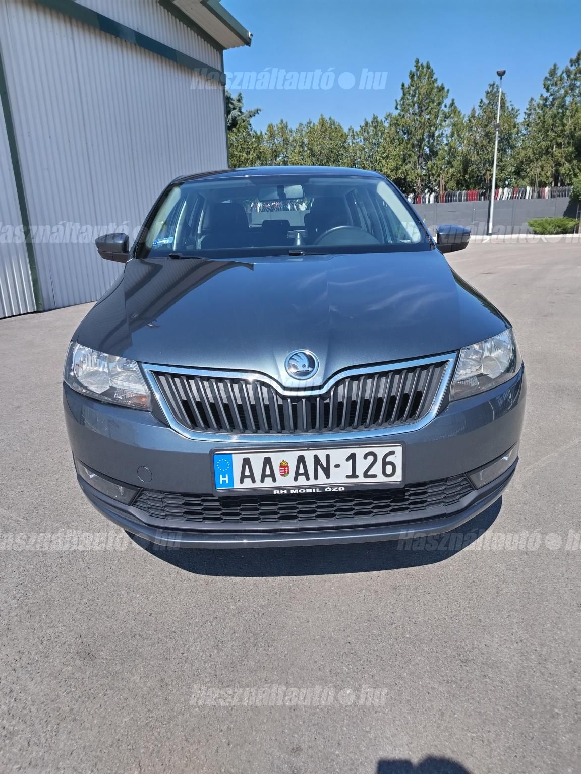 SKODA RAPID 2018/9 - 1