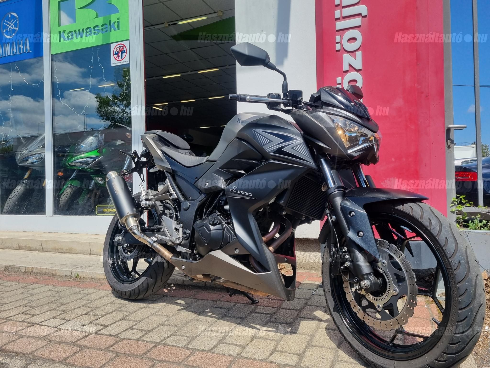 KAWASAKI Z 300 2016/4 - 1