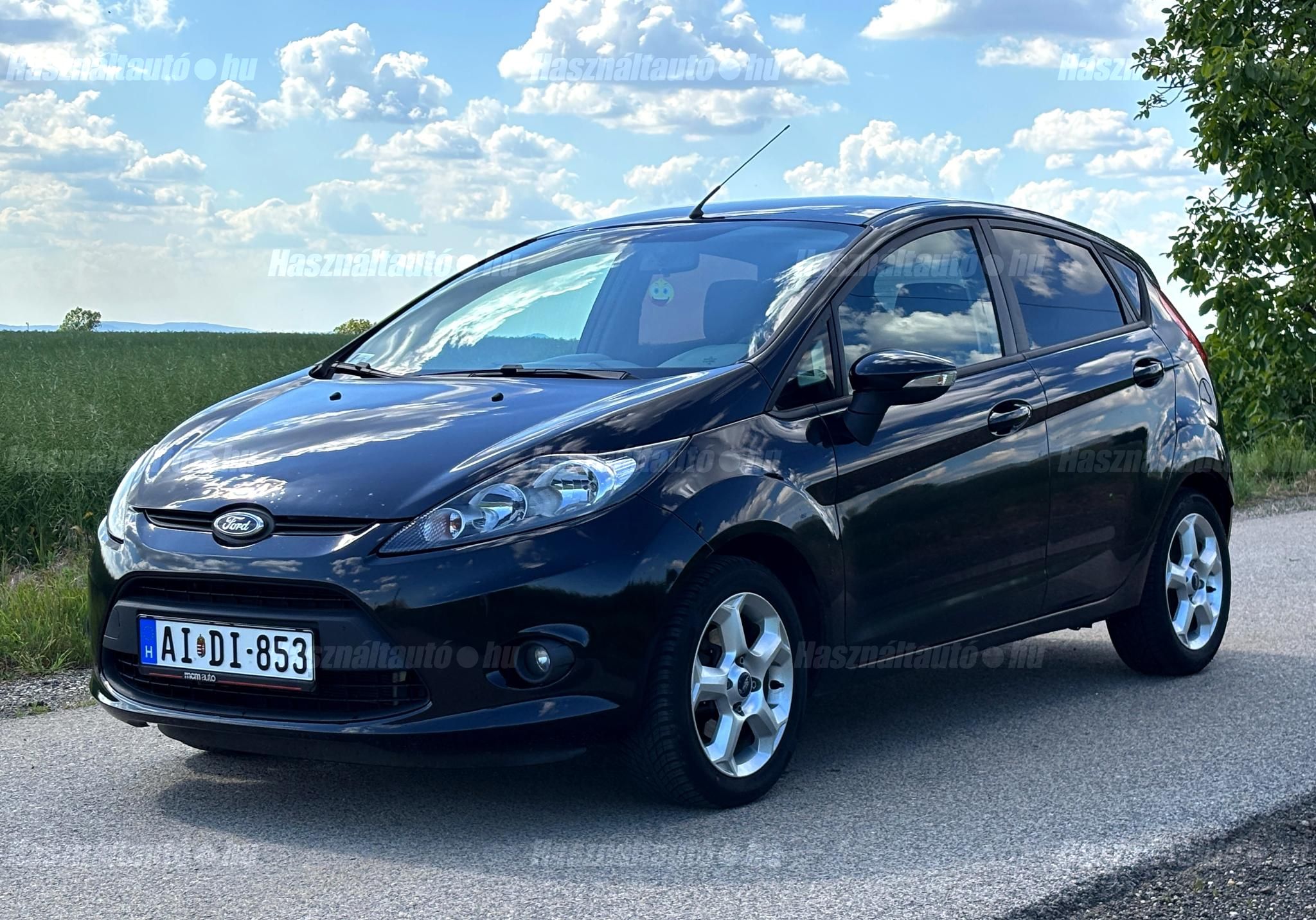 FORD FIESTA 2009/10 - 1