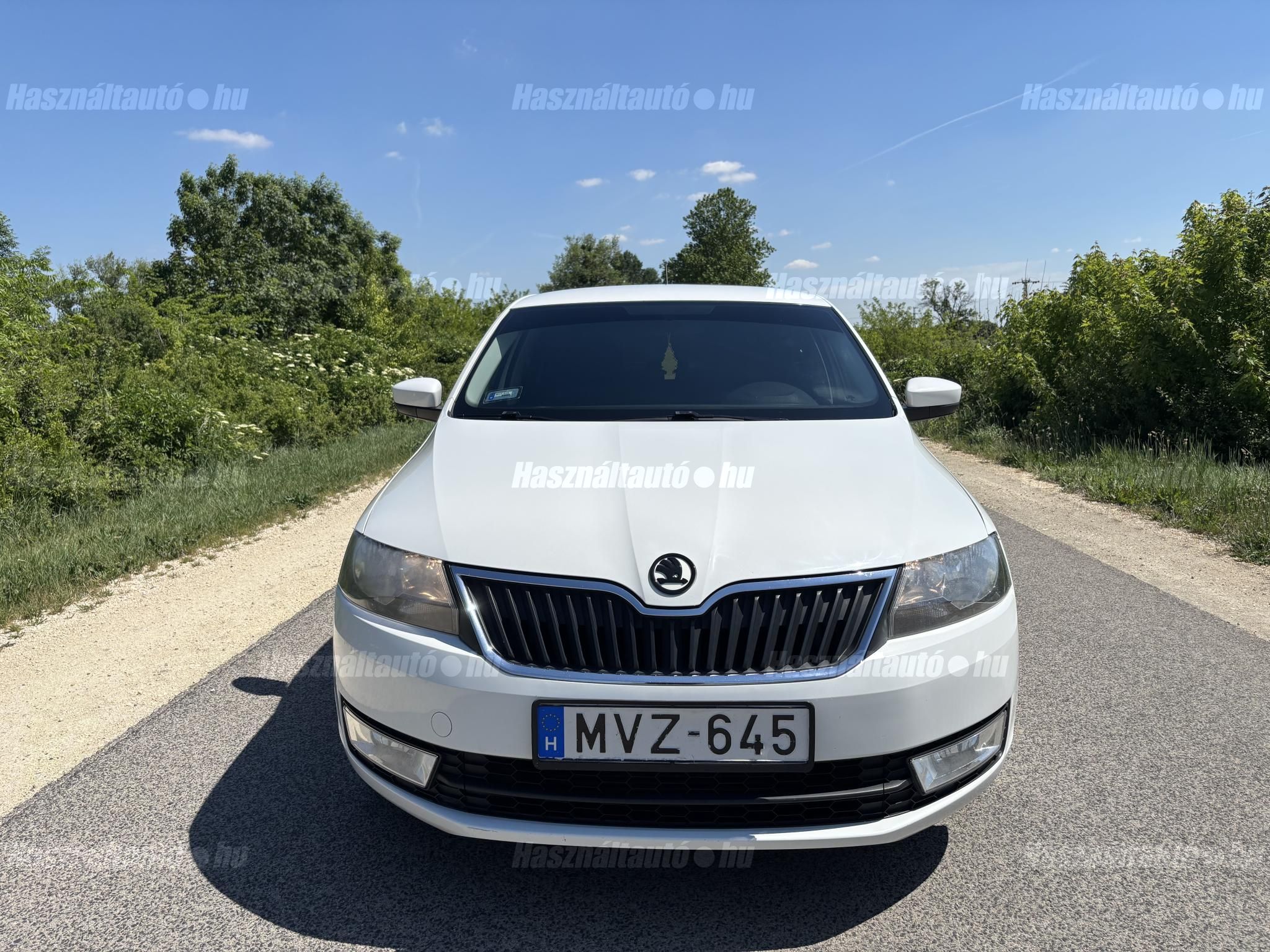 SKODA RAPID 2014/9 - 1