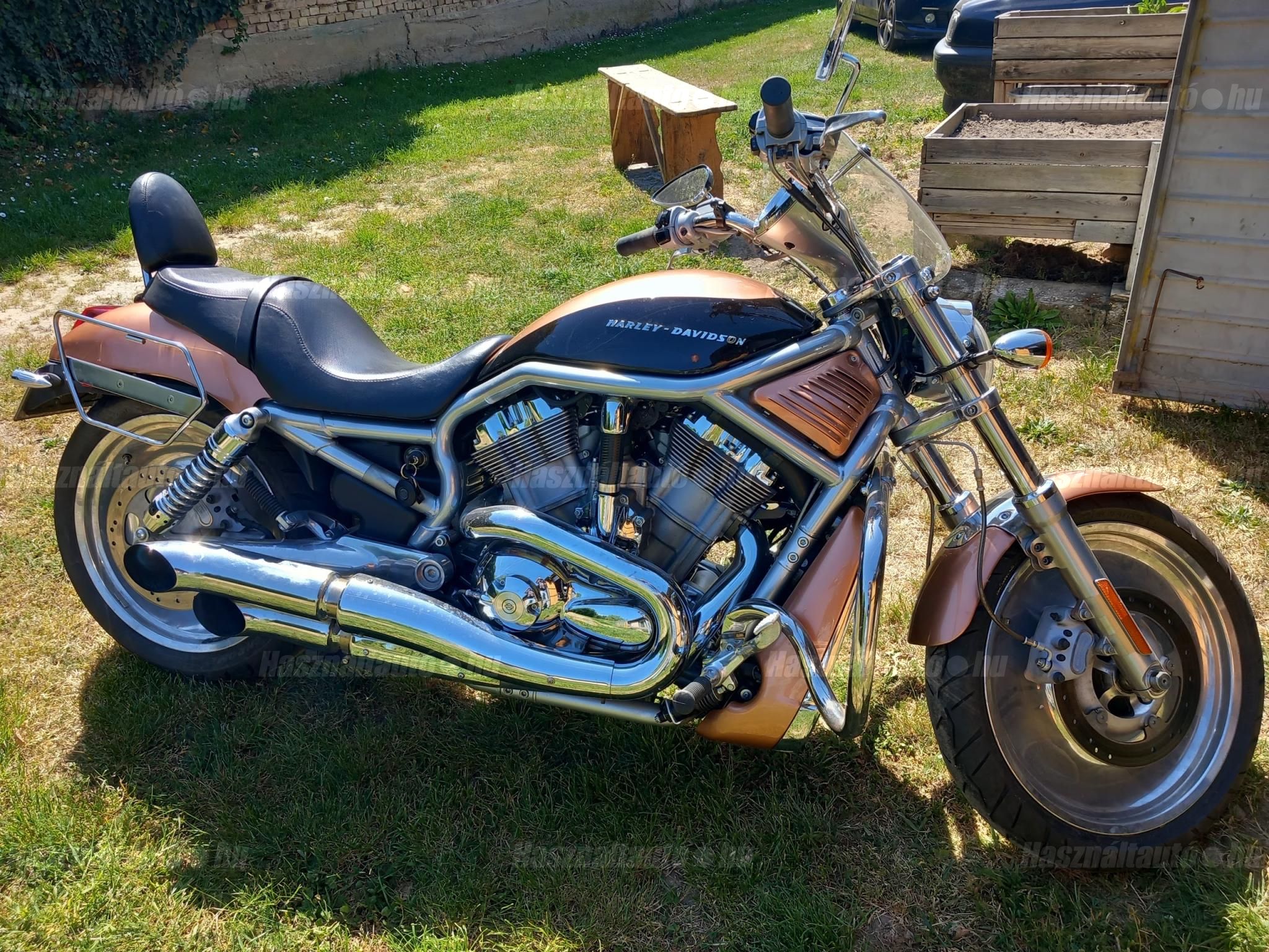 HARLEY-DAVIDSON V-ROD (VRSCA) 2005 - 1