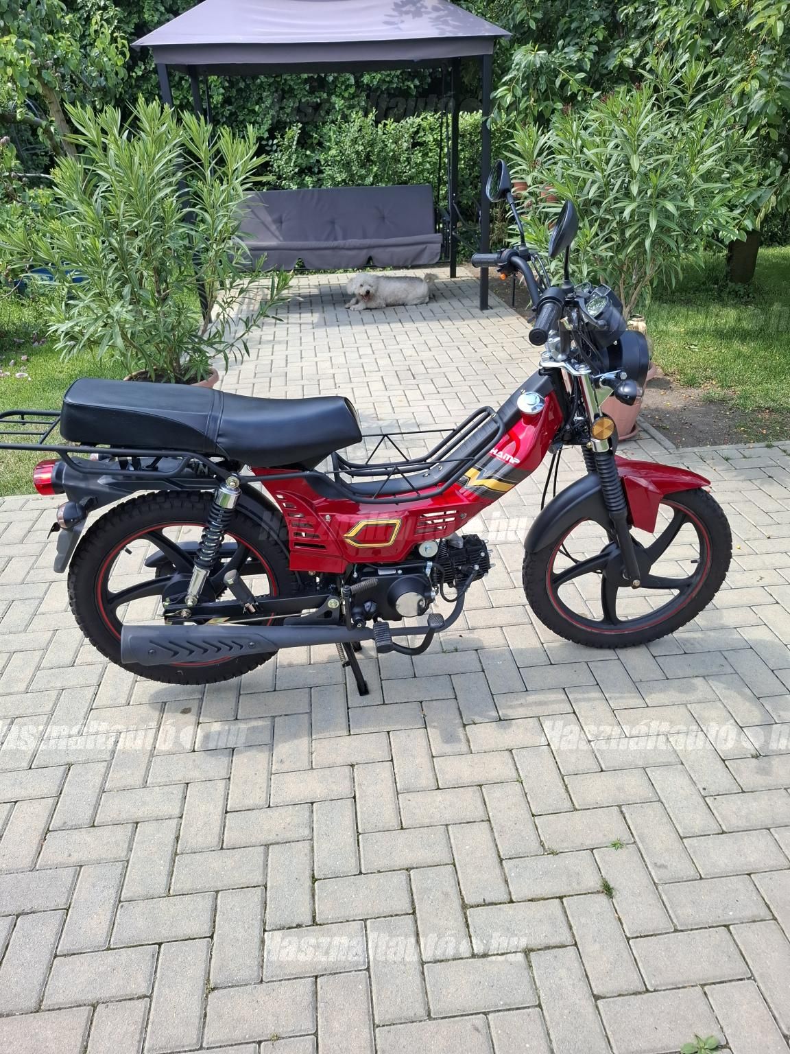 POLYMOBIL CHAMP REDREAM 2022/5 - 1