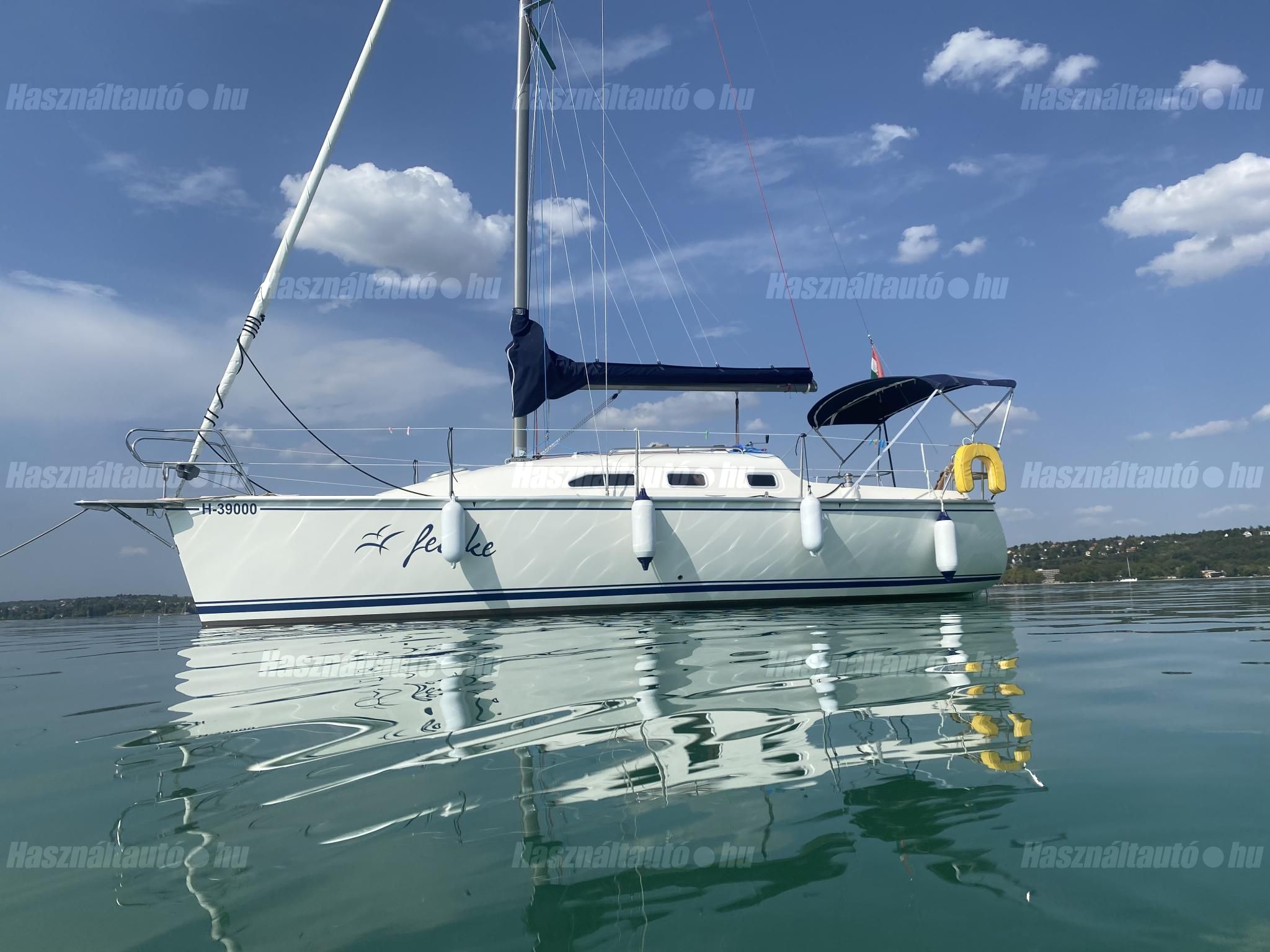 DOLPHIN 28 2022/4 - 1