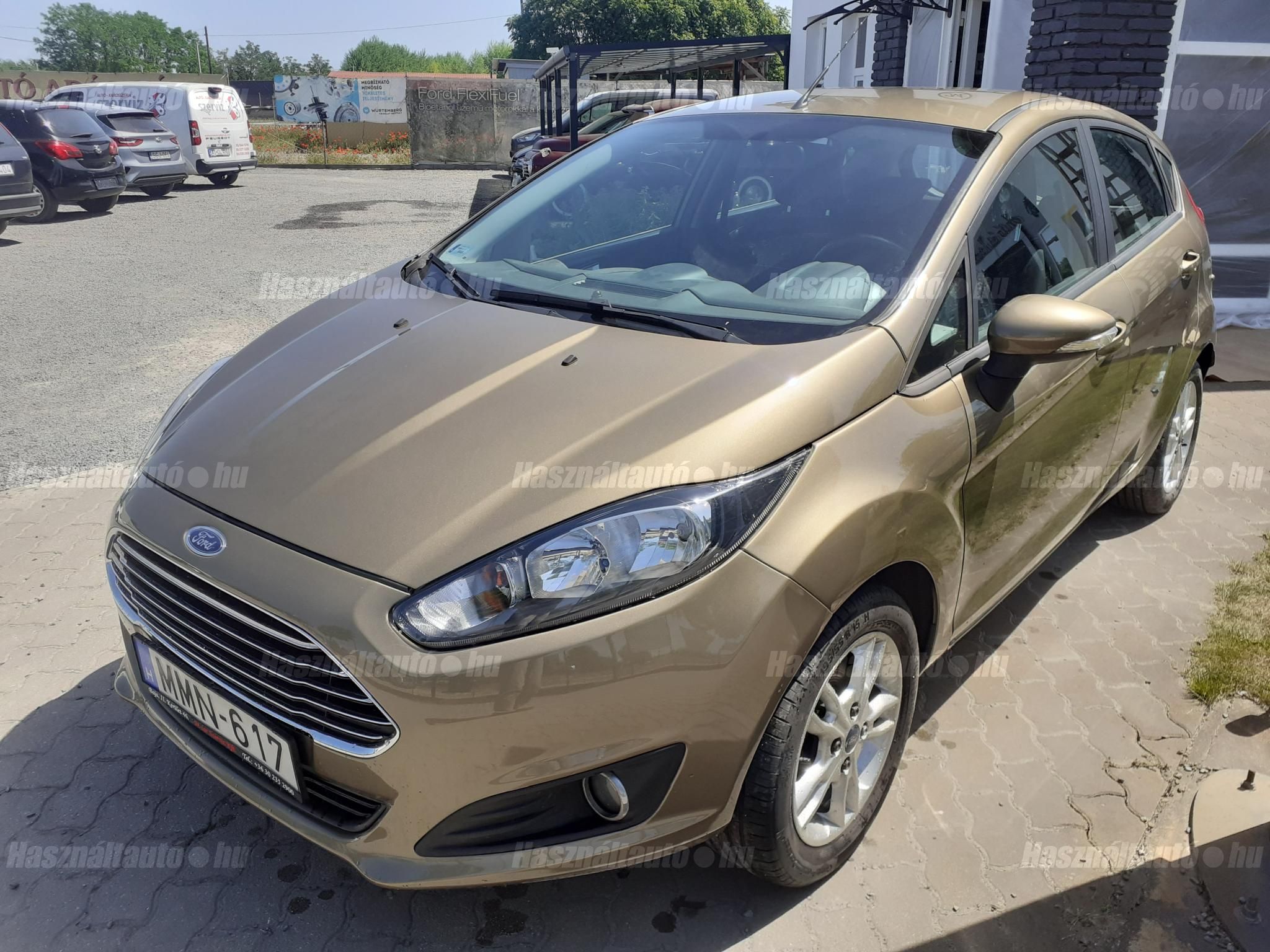 FORD FIESTA 2013/9 - 1