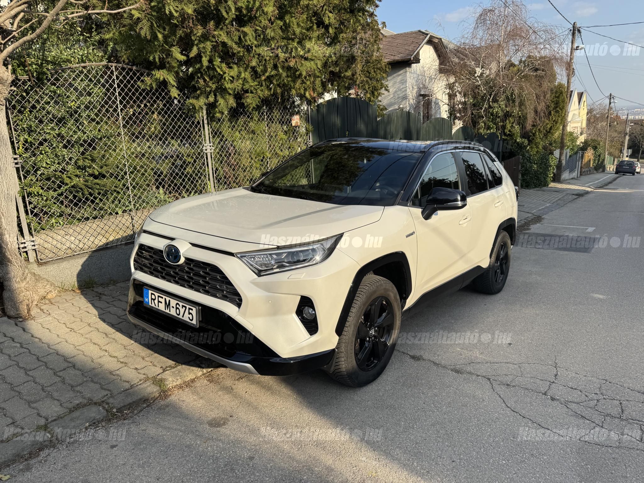 TOYOTA RAV 4 2019/3 - 1