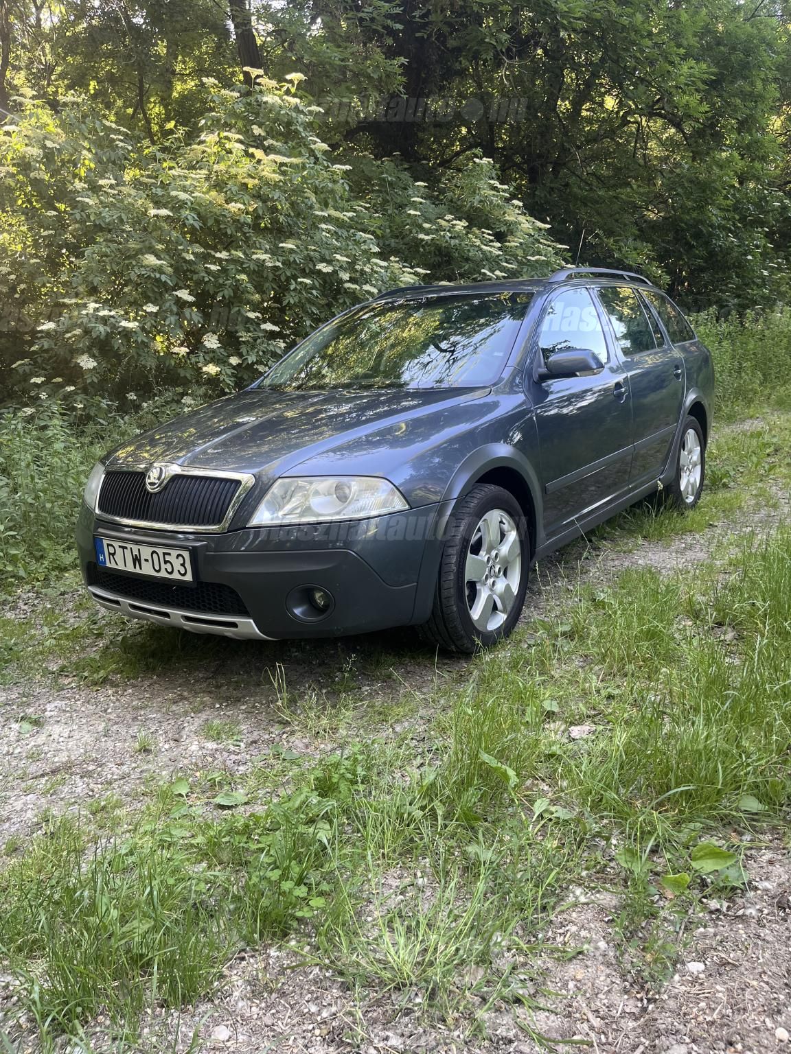 SKODA OCTAVIA 2008/4 - 1