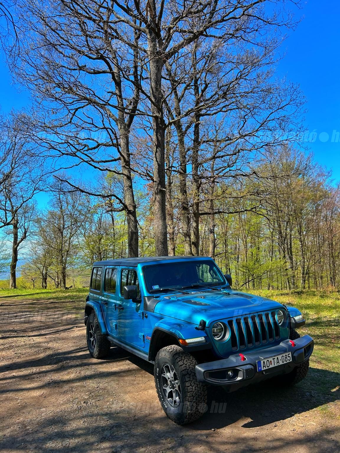 JEEP WRANGLER 2020/6 - 1