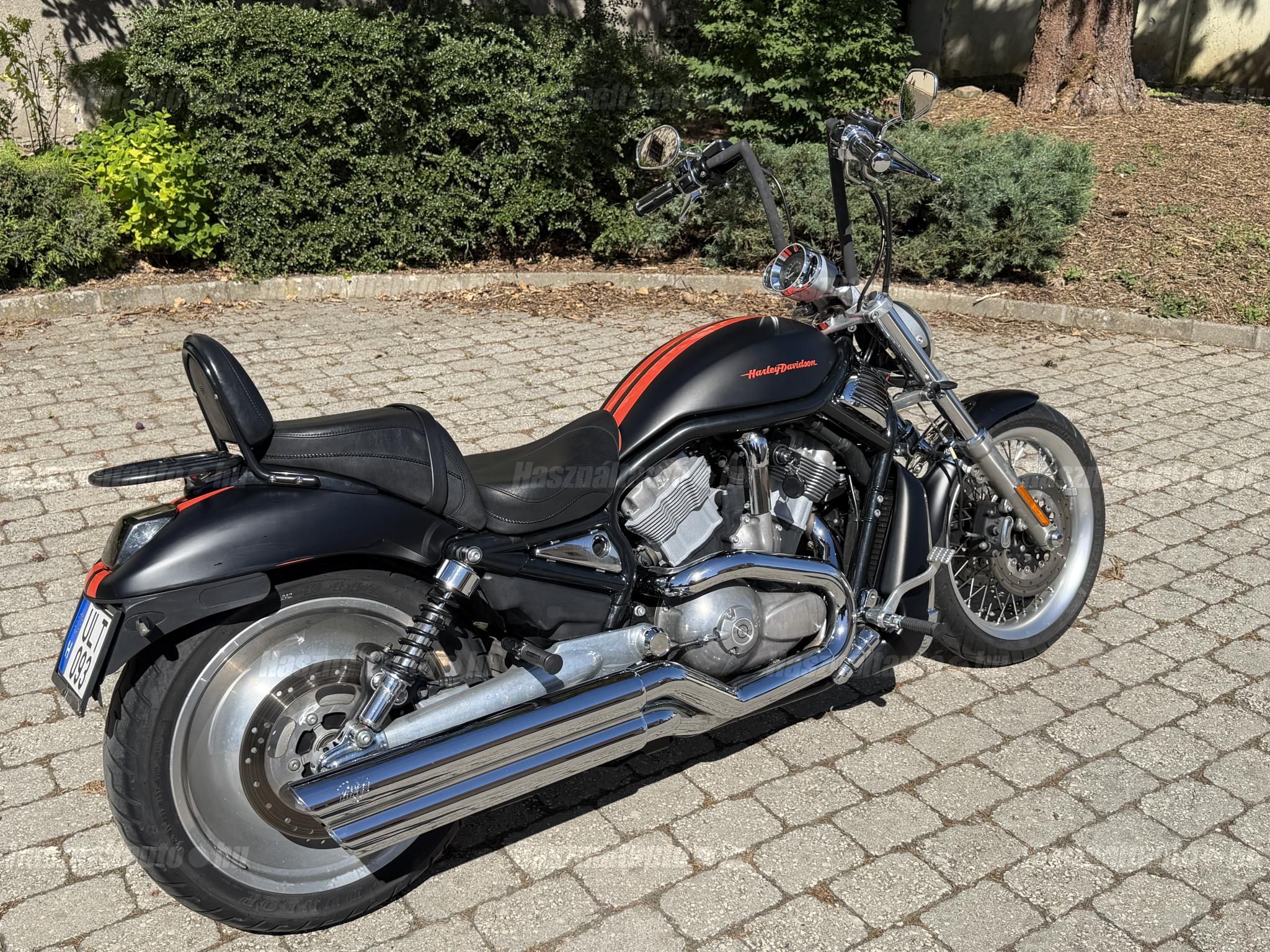 HARLEY-DAVIDSON V-ROD (VRSCB) 2004/6 - 1