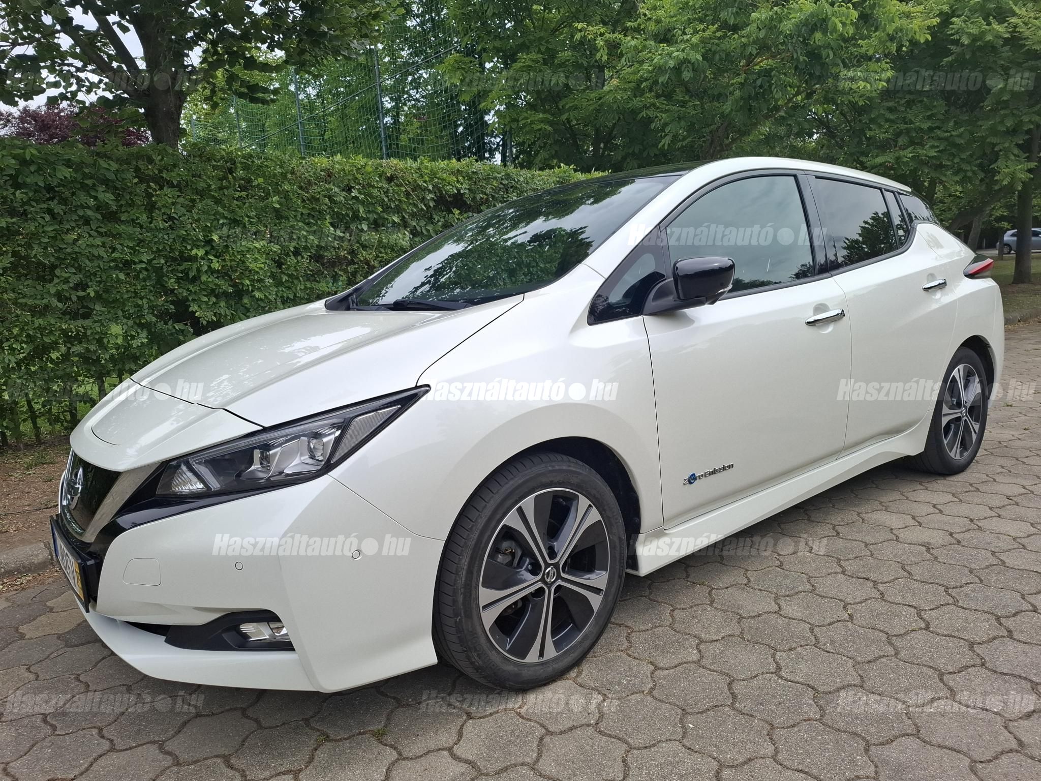 NISSAN LEAF 2019/3 - 1