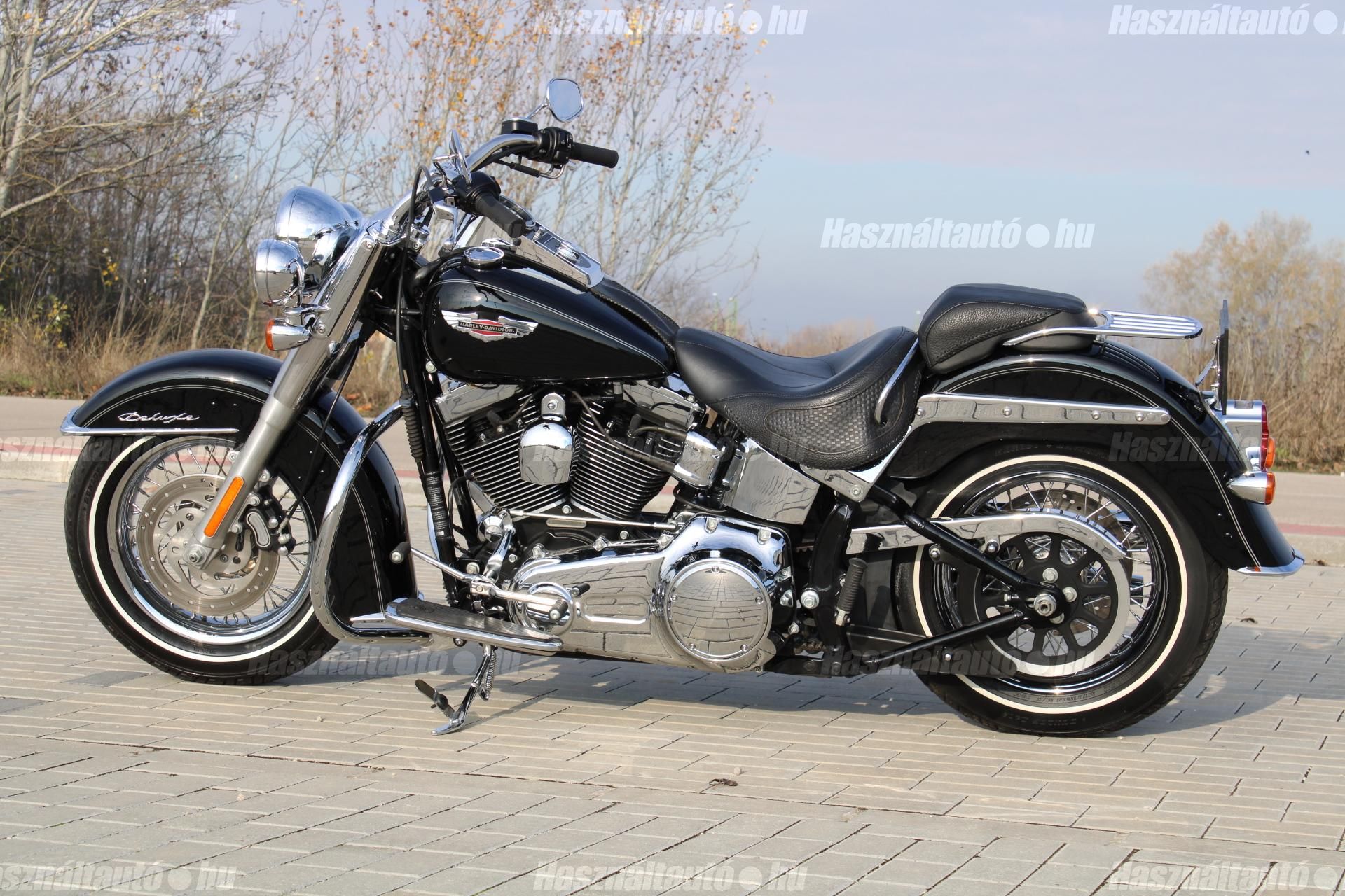 HARLEY-DAVIDSON SOFTAIL 2009/2 - 1
