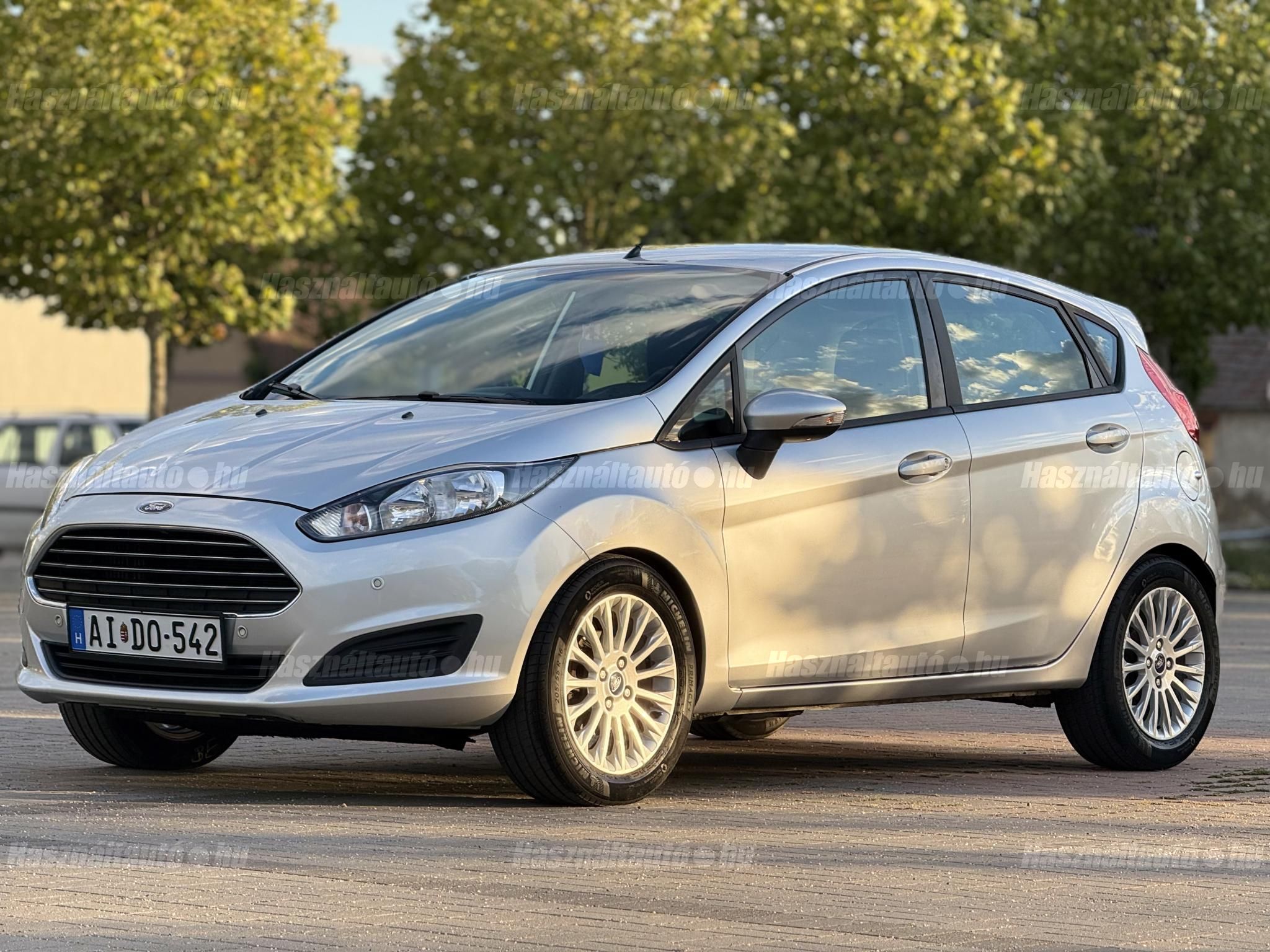 FORD FIESTA 2013/6 - 1