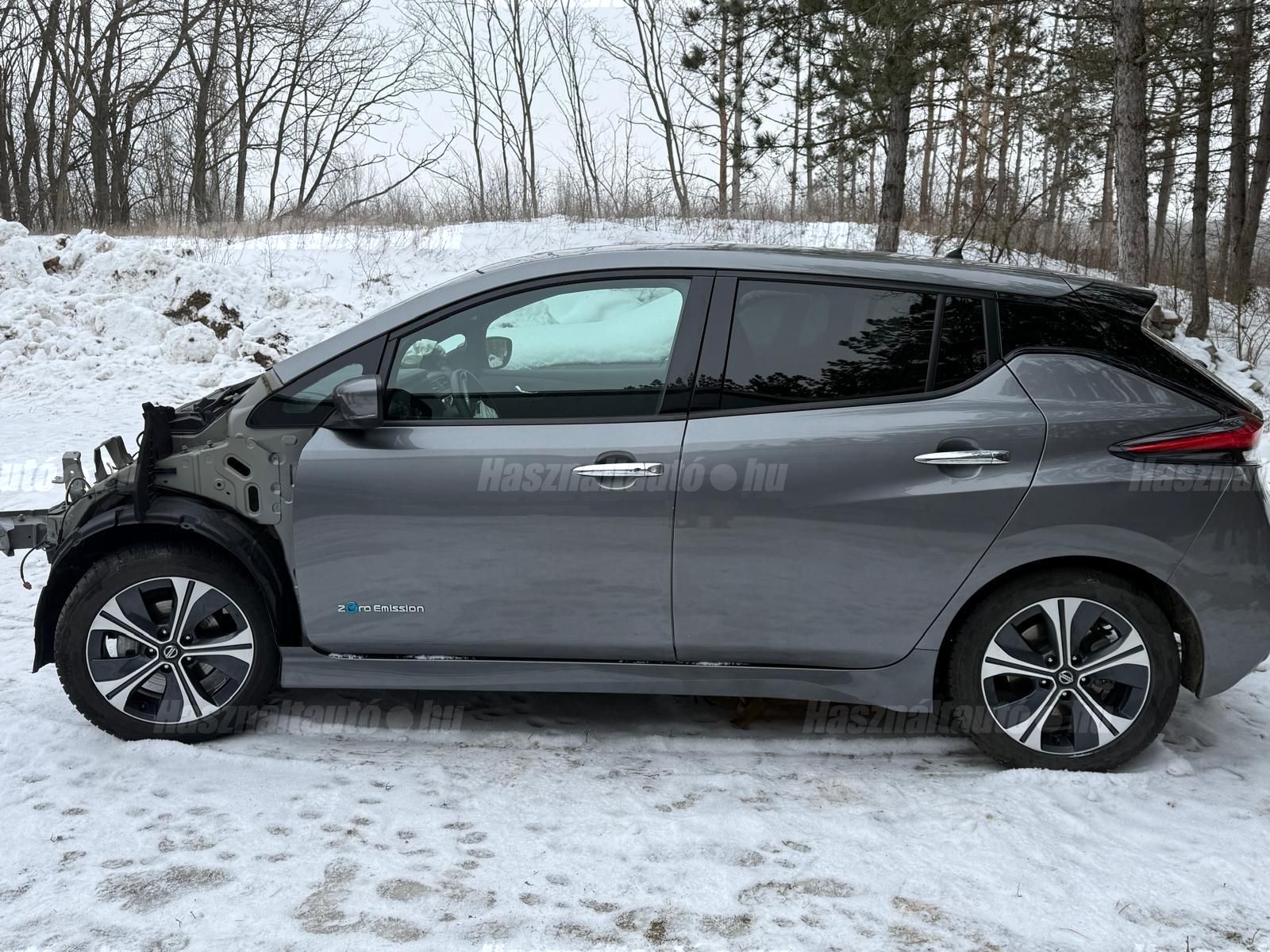 NISSAN LEAF 2019 - 1