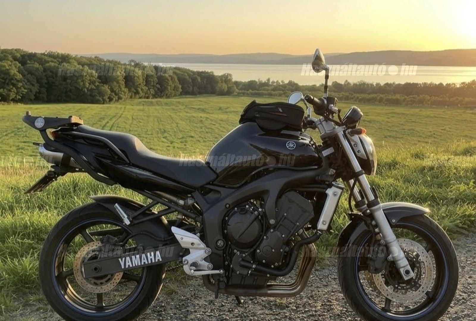 YAMAHA FZ6-N 2005/8 - 1