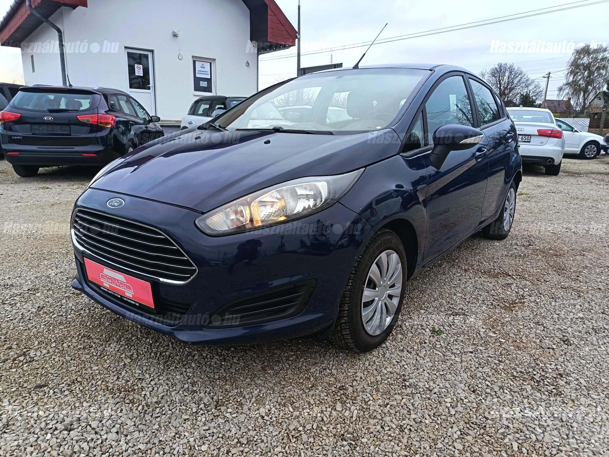 FORD FIESTA 2013/11 - 1