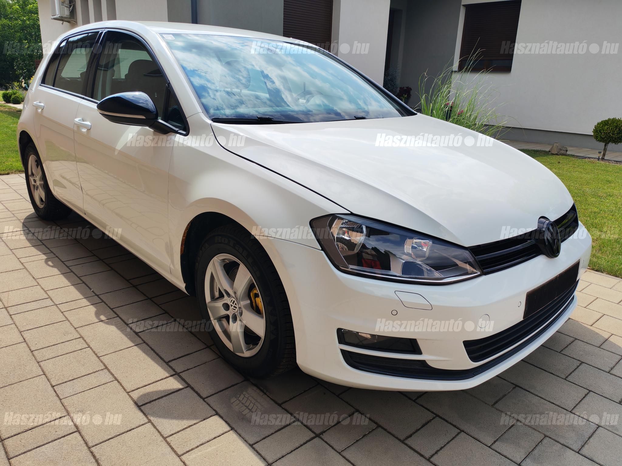 VOLKSWAGEN GOLF VII 2013/1 - 1