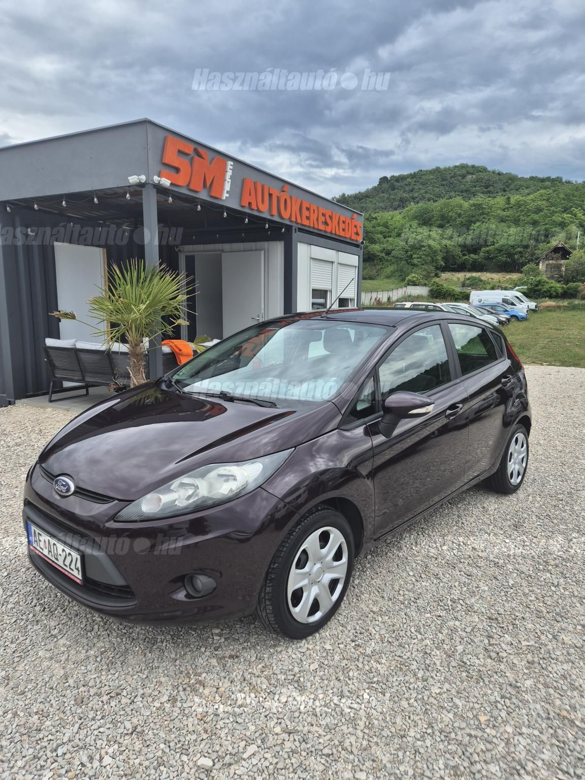 FORD FIESTA 2009/9 - 1