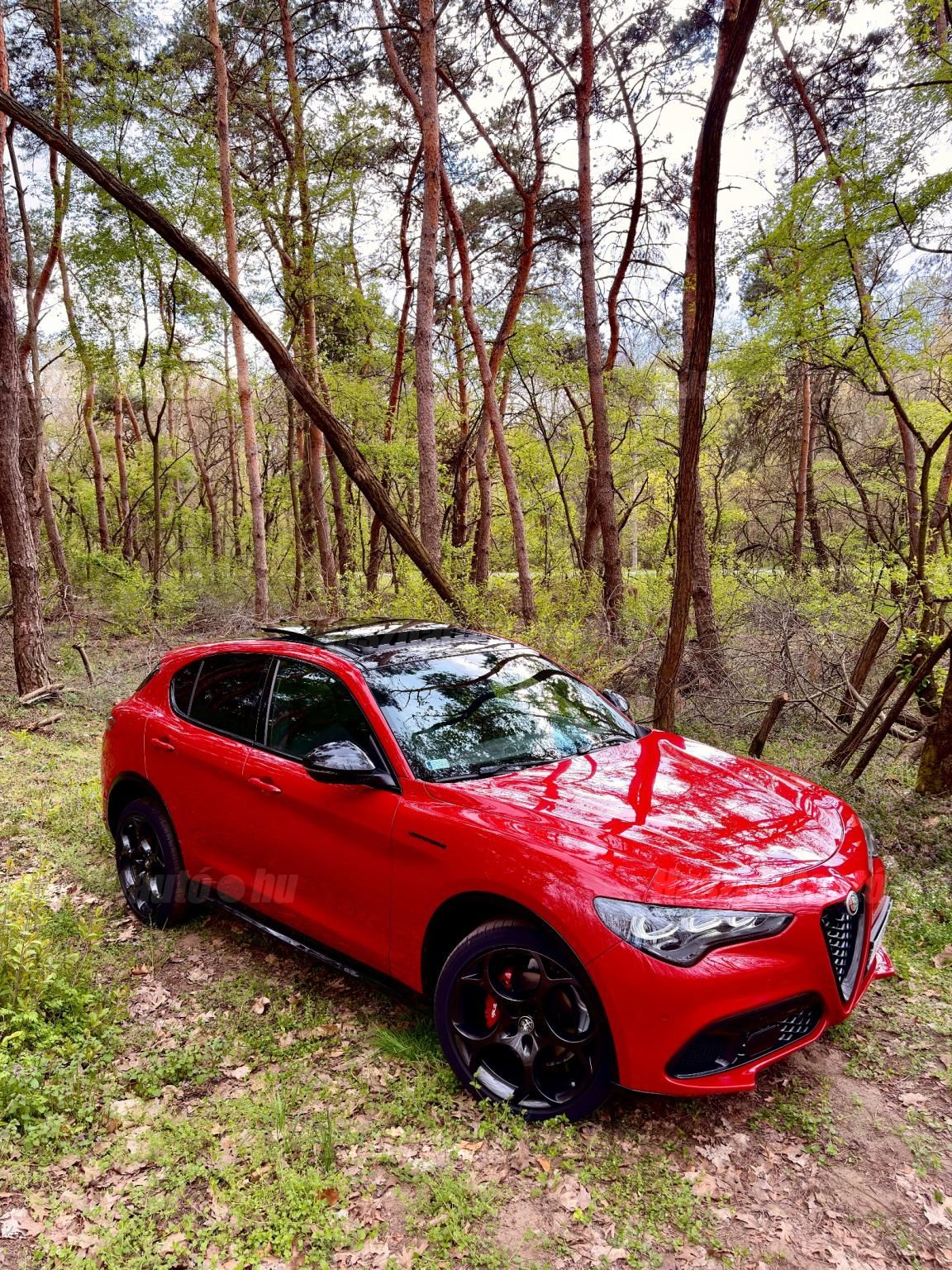 ALFA ROMEO STELVIO 2023/7 - 1
