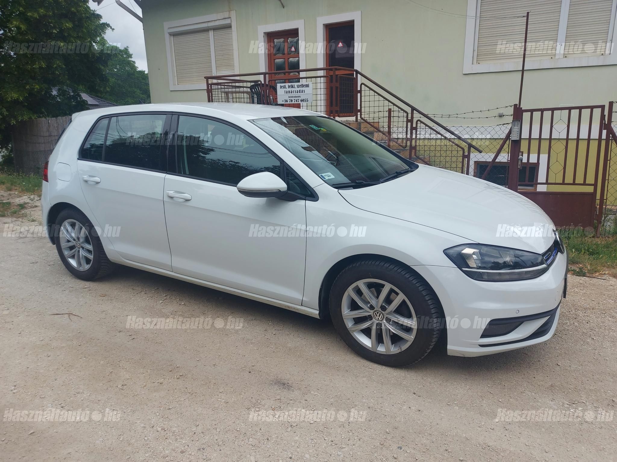 VOLKSWAGEN GOLF VII 2019/8 - 1
