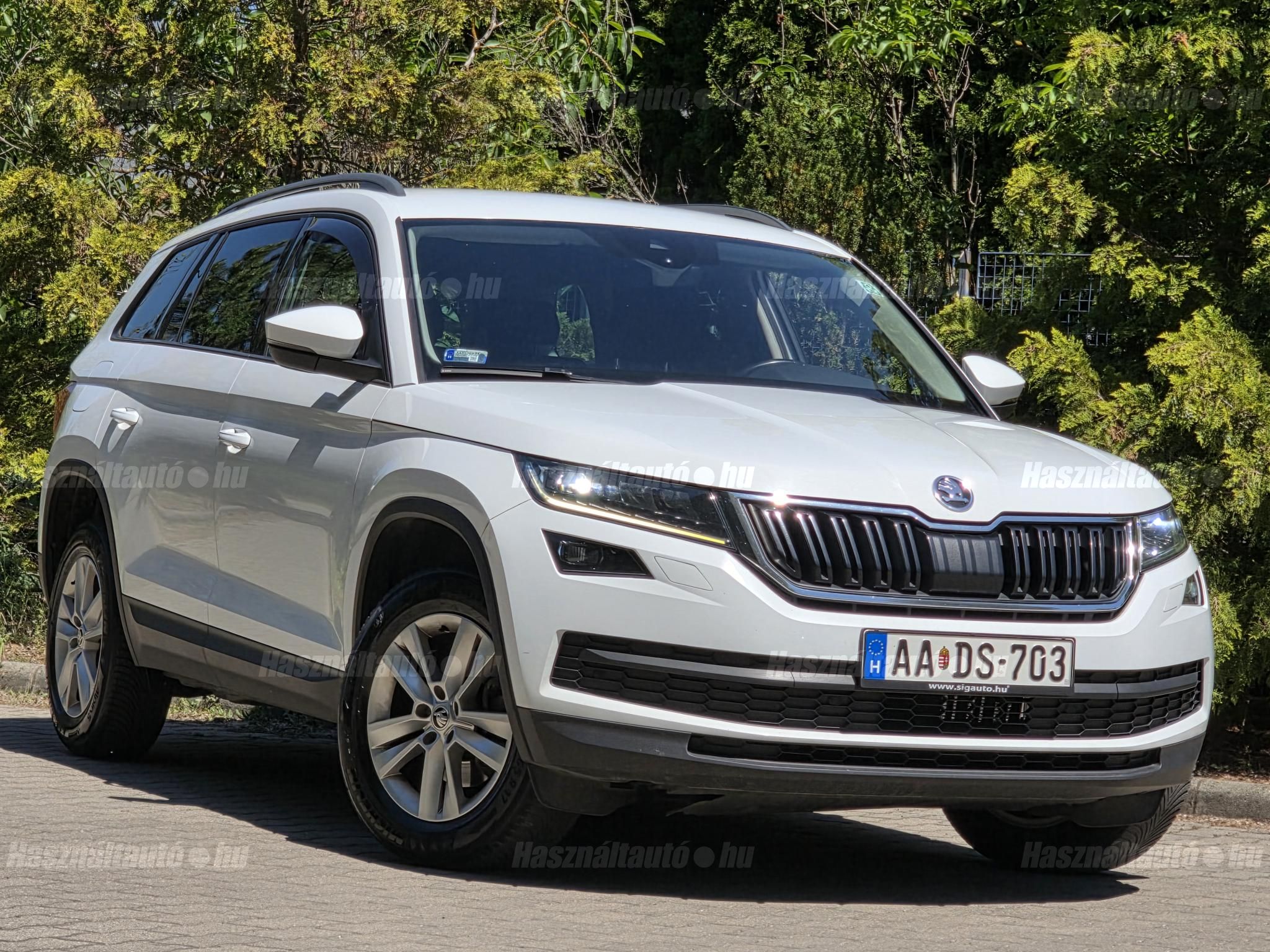 SKODA KODIAQ 2018/10 - 1