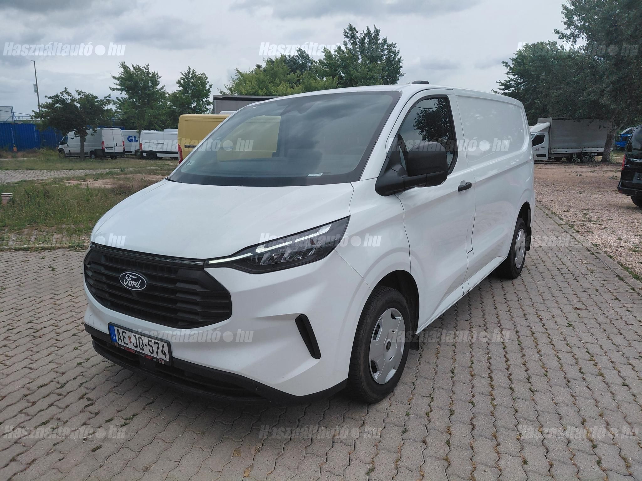 FORD TRANSIT 2024/1 - 1