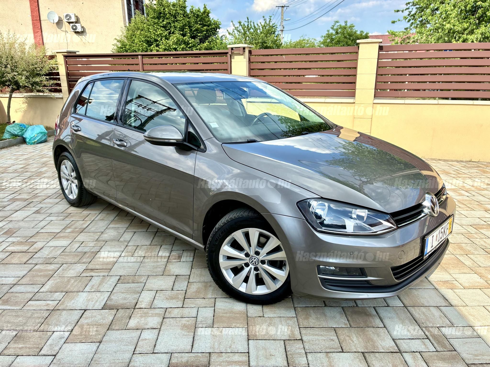 VOLKSWAGEN GOLF VII 2013/2 - 1