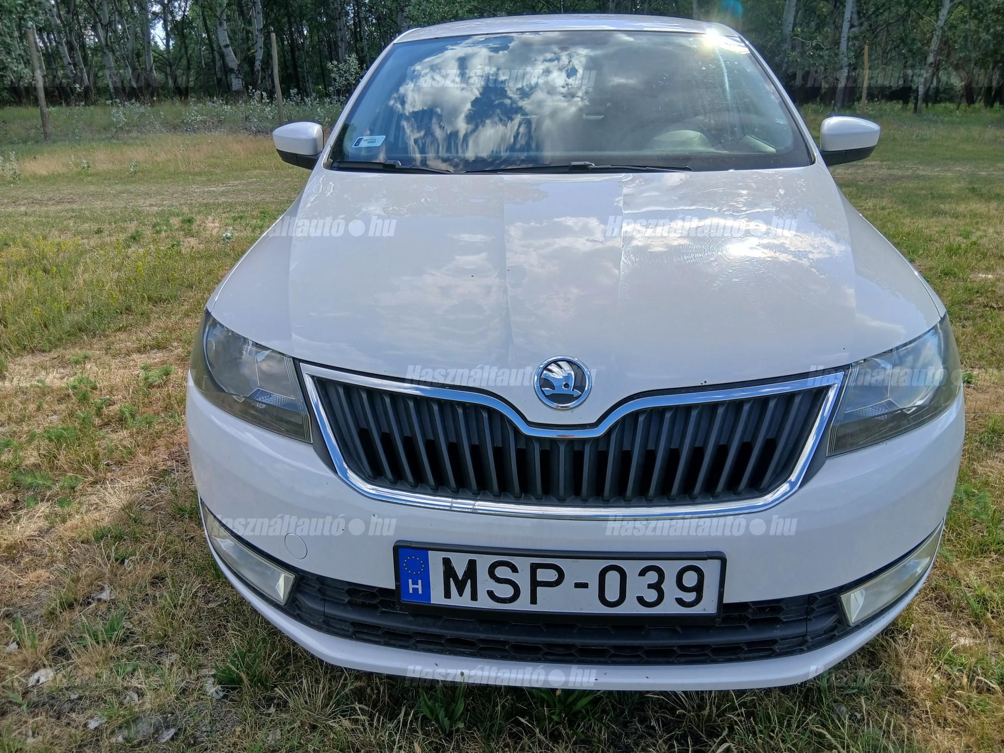 SKODA RAPID 2014/4 - 1