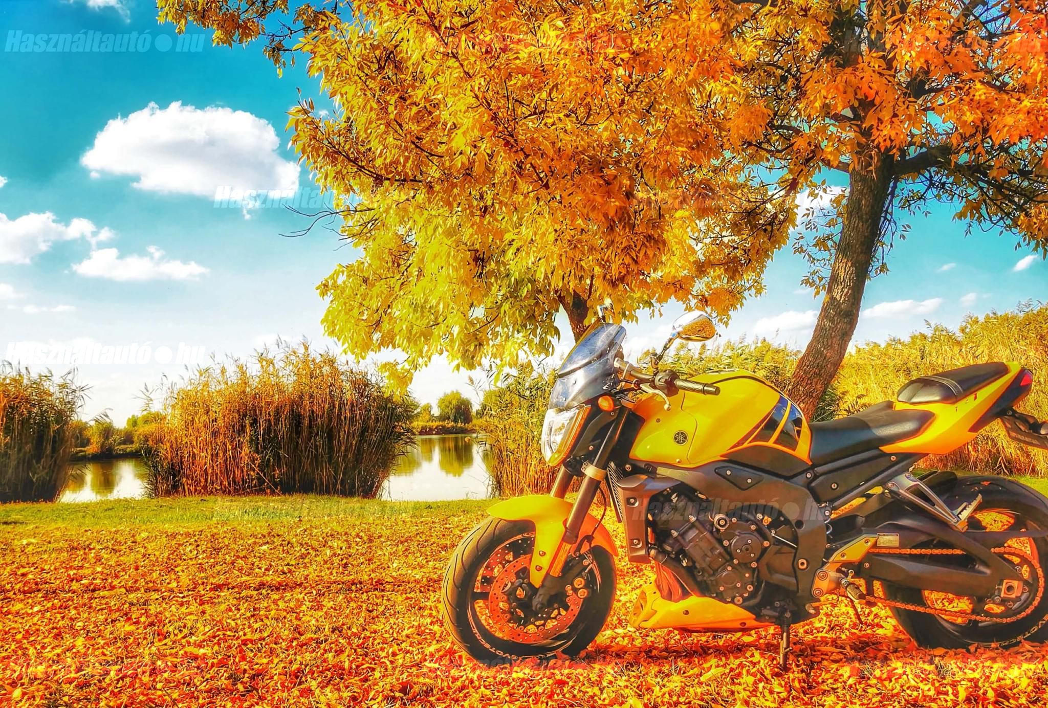 YAMAHA FZ1 2006/7 - 1