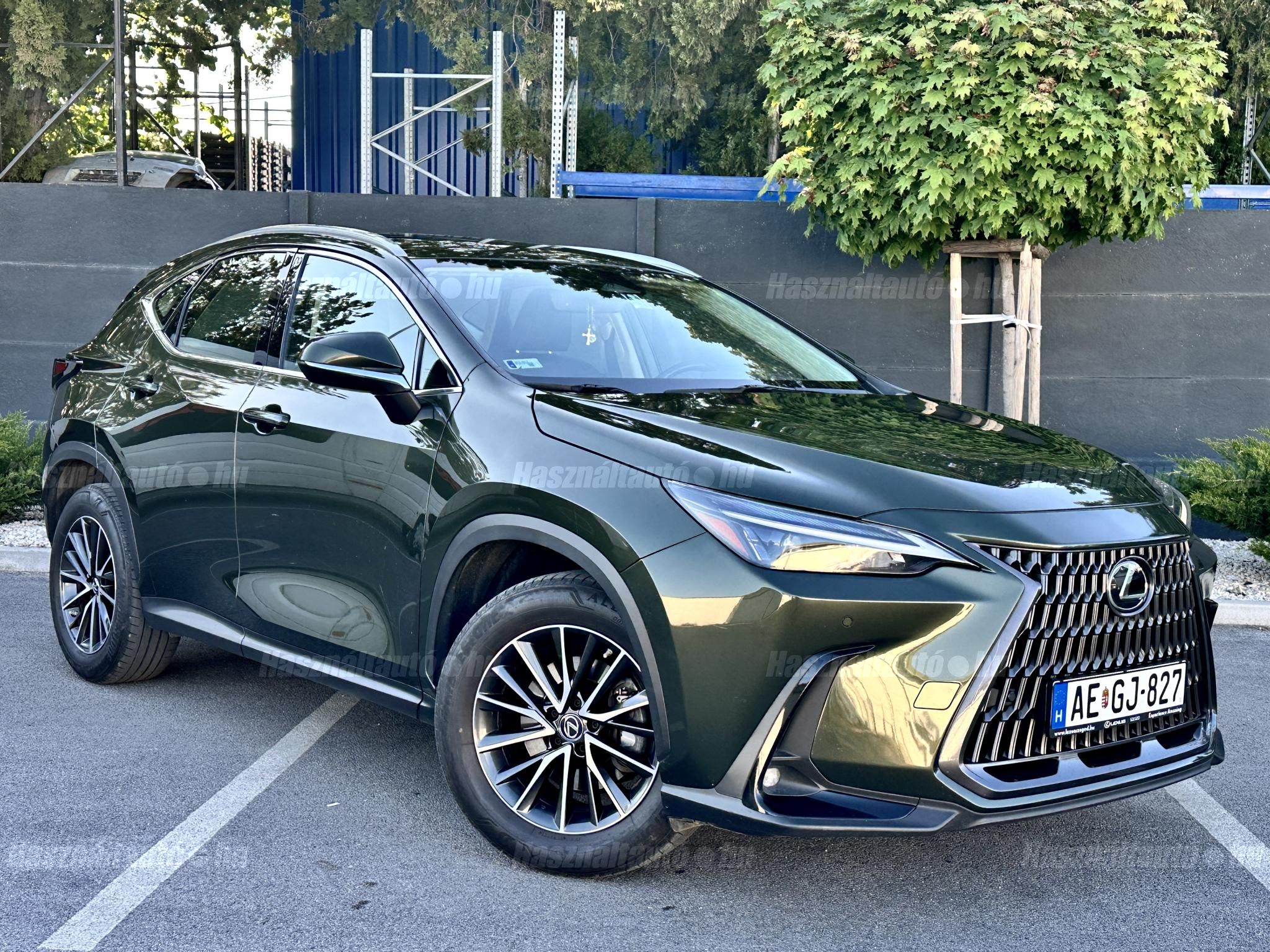 LEXUS NX 2023/10 - 1
