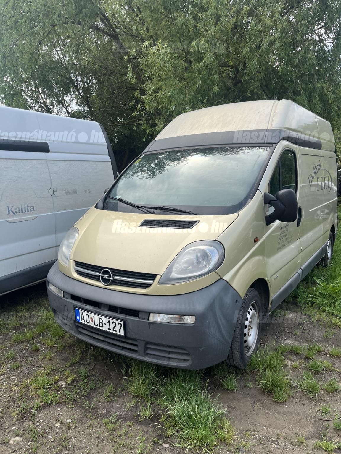OPEL VIVARO 2005/12 - 1