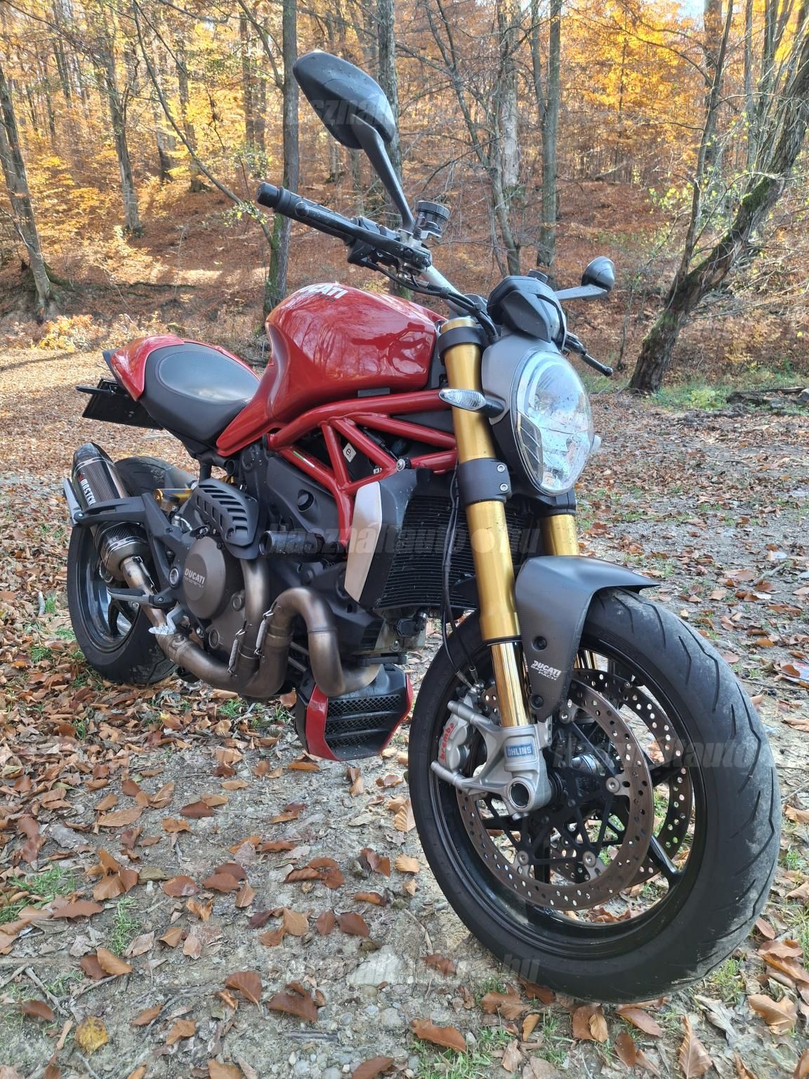 DUCATI MONSTER 1200 2014/3 - 1