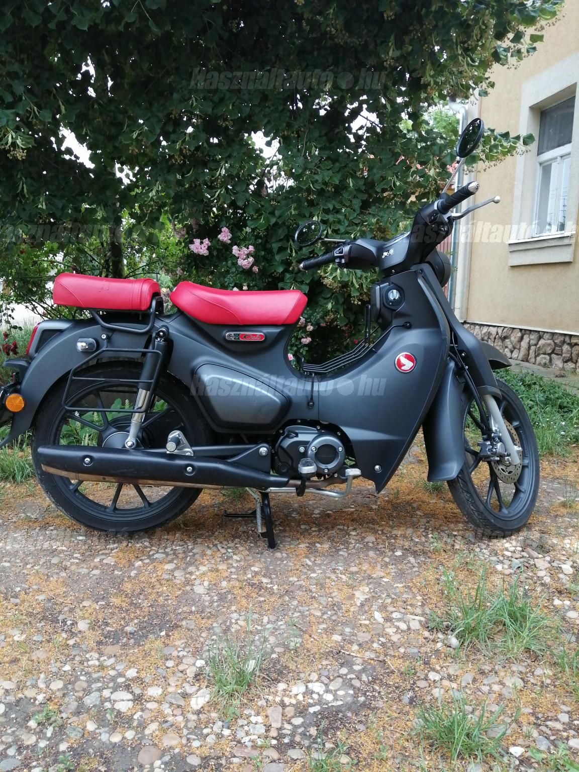 HONDA C 125 SUPER CUB 2023/2 - 1