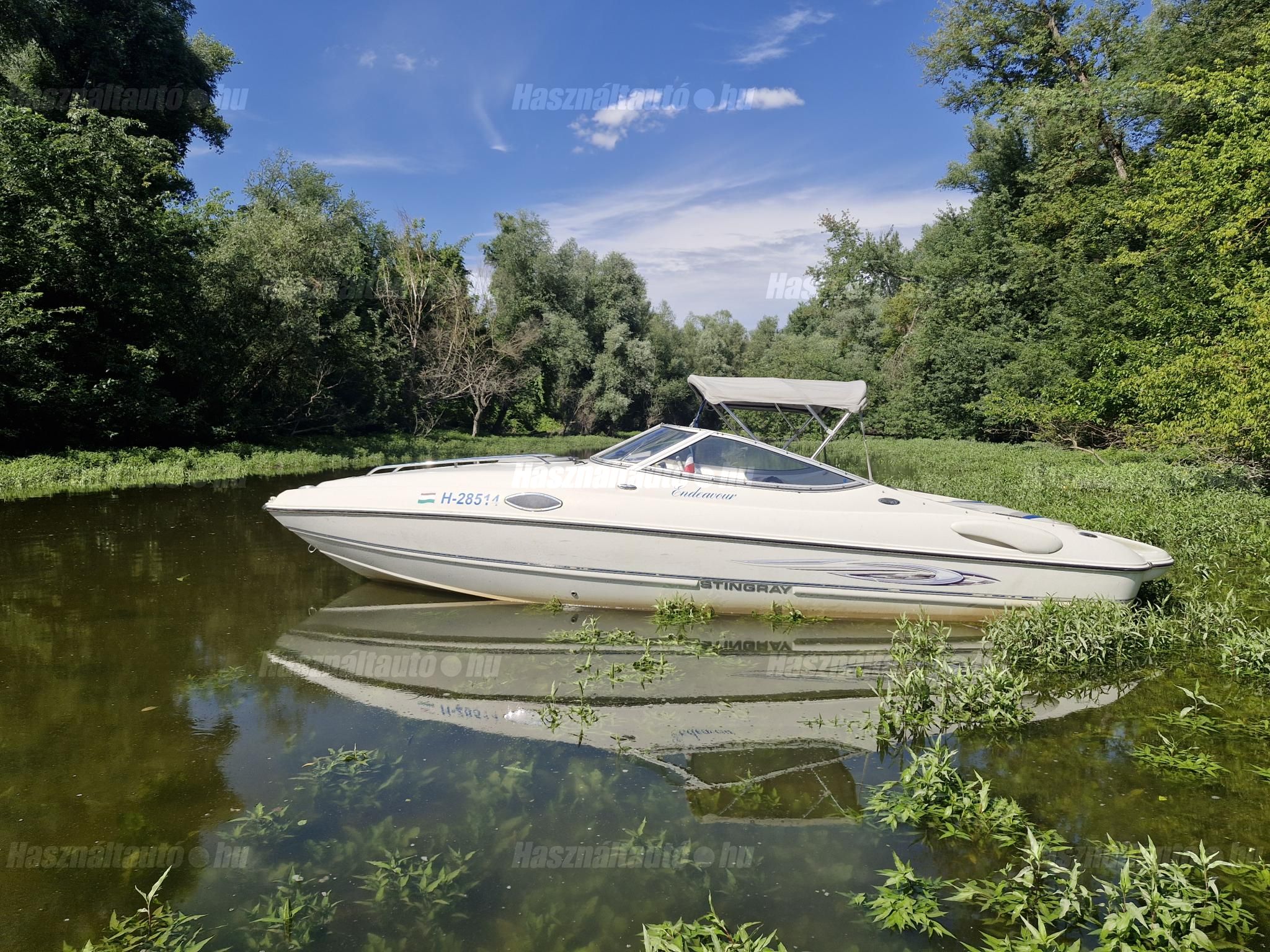 STINGRAY 2008/7 - 1
