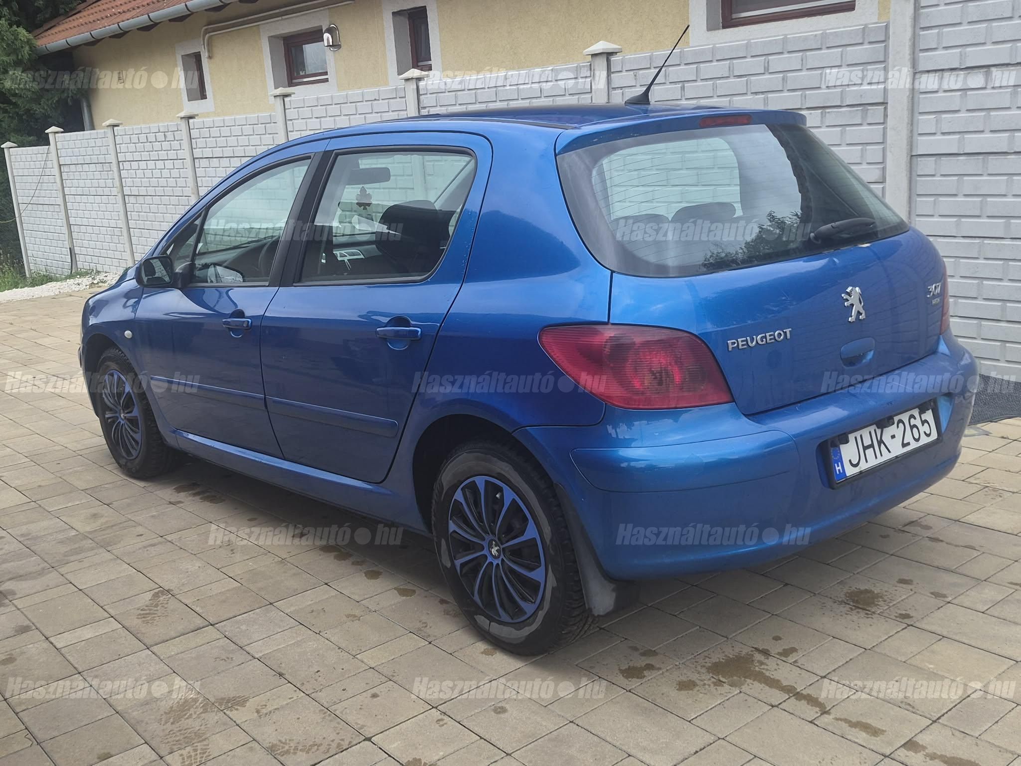 PEUGEOT 307 2004 - 1