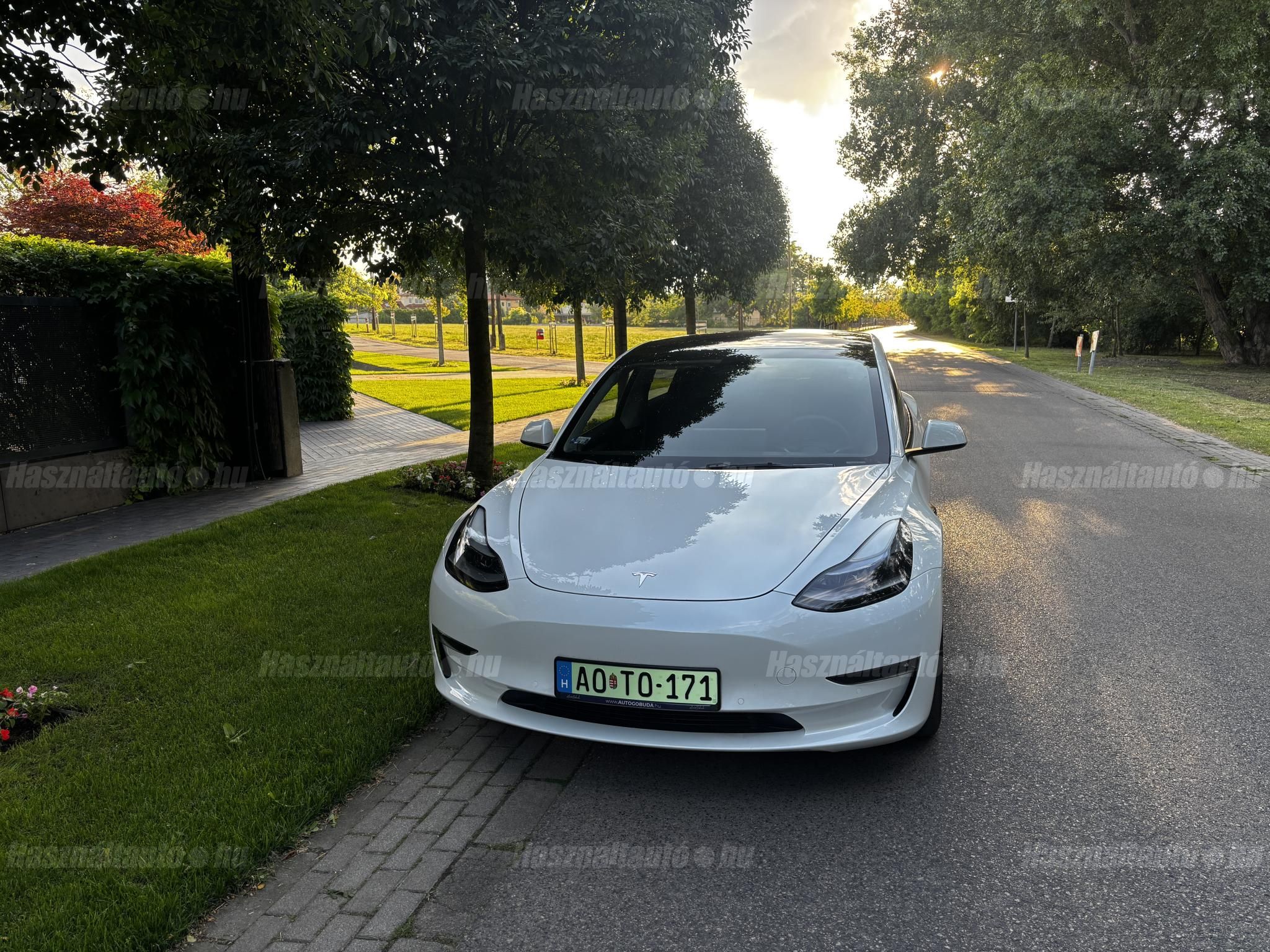 TESLA MODEL 3 2021/9 - 1