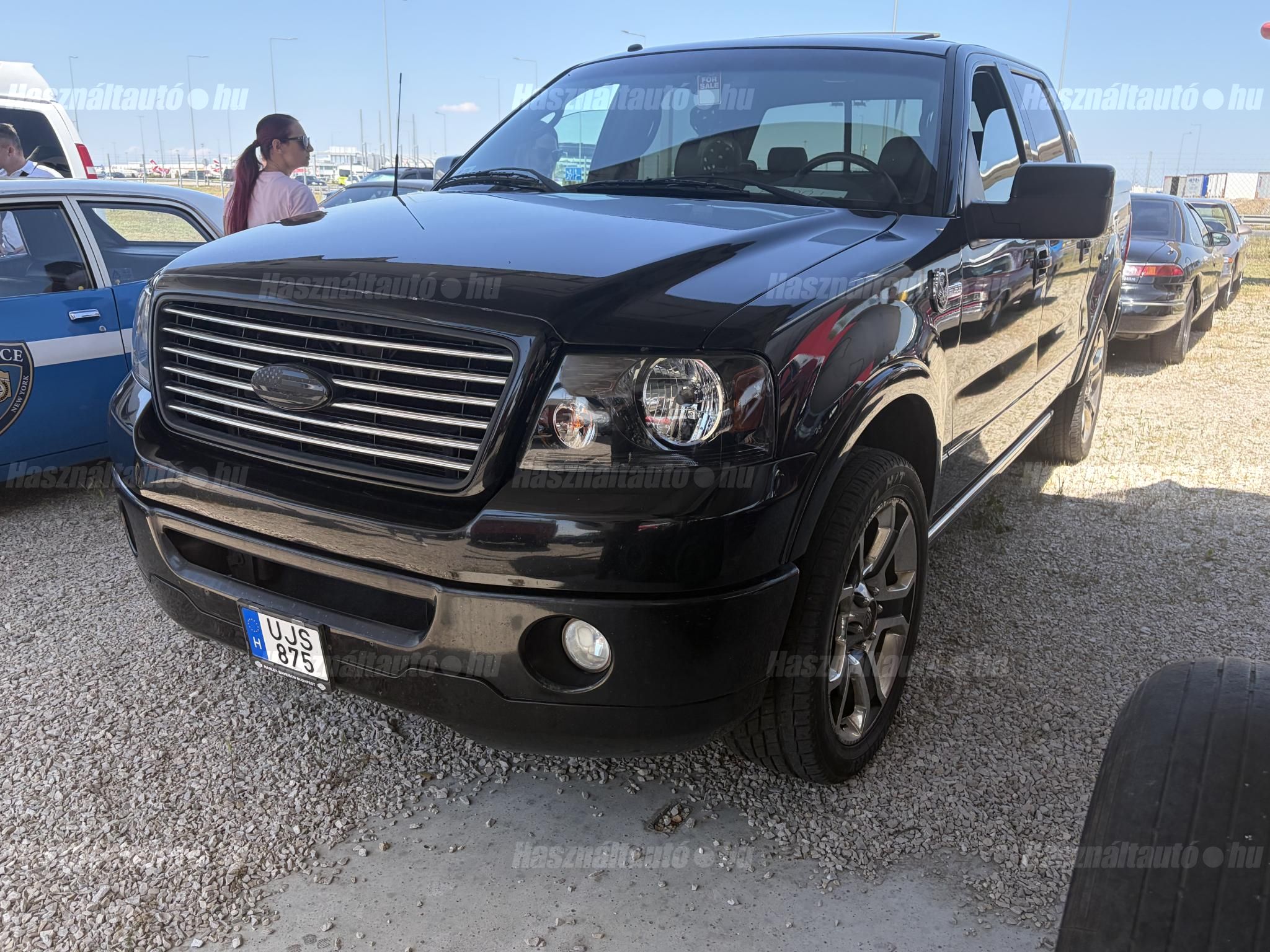 FORD F 150 2008 - 1