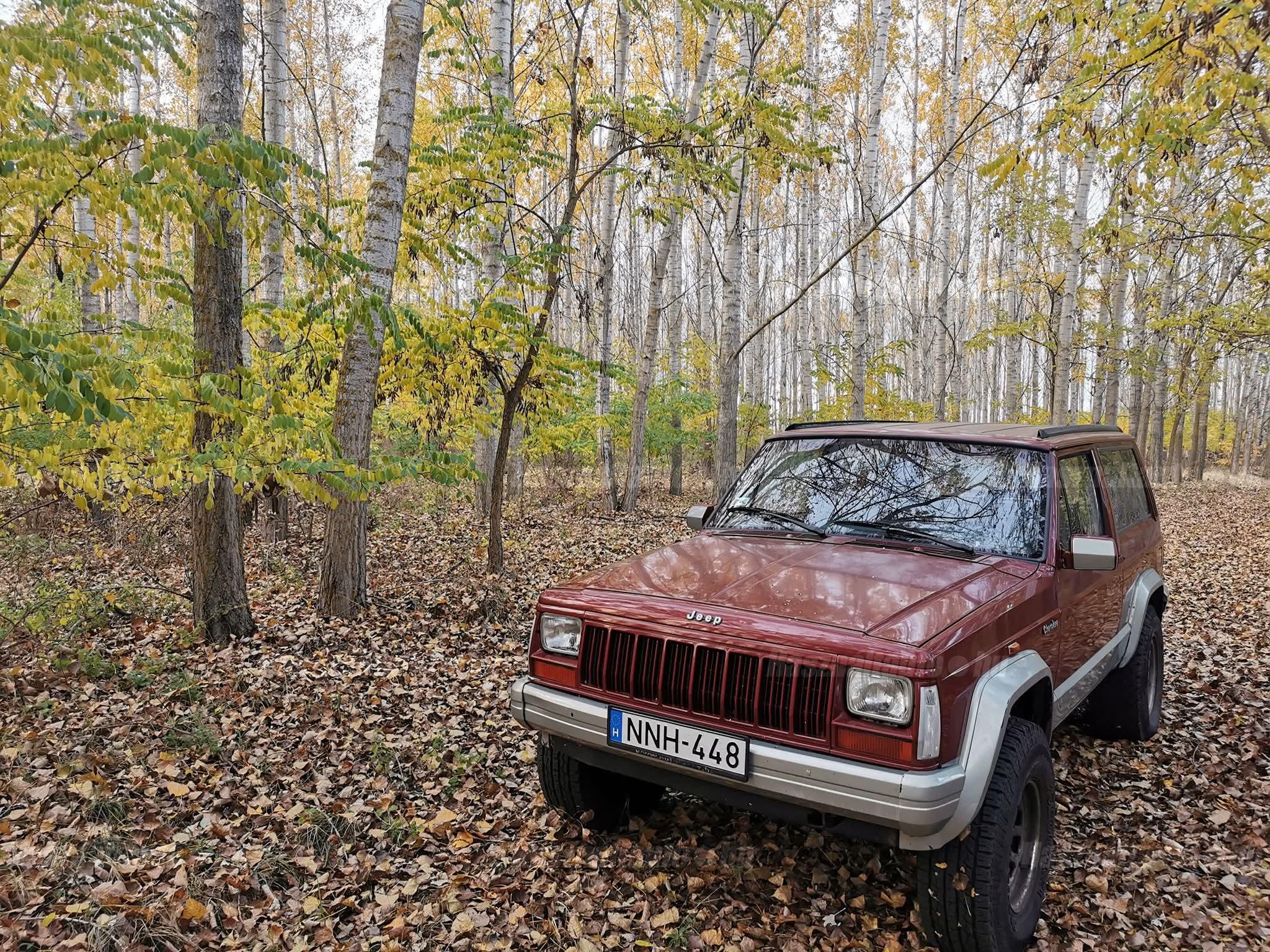 JEEP CHEROKEE 1995/10 - 1