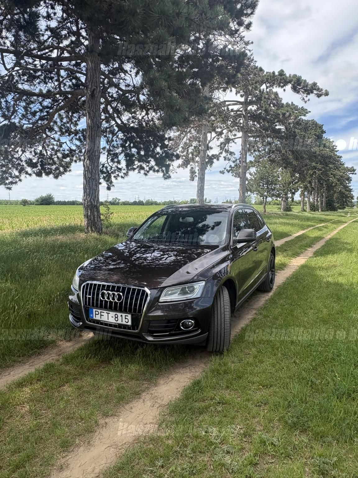 AUDI Q5 2013/3 - 1