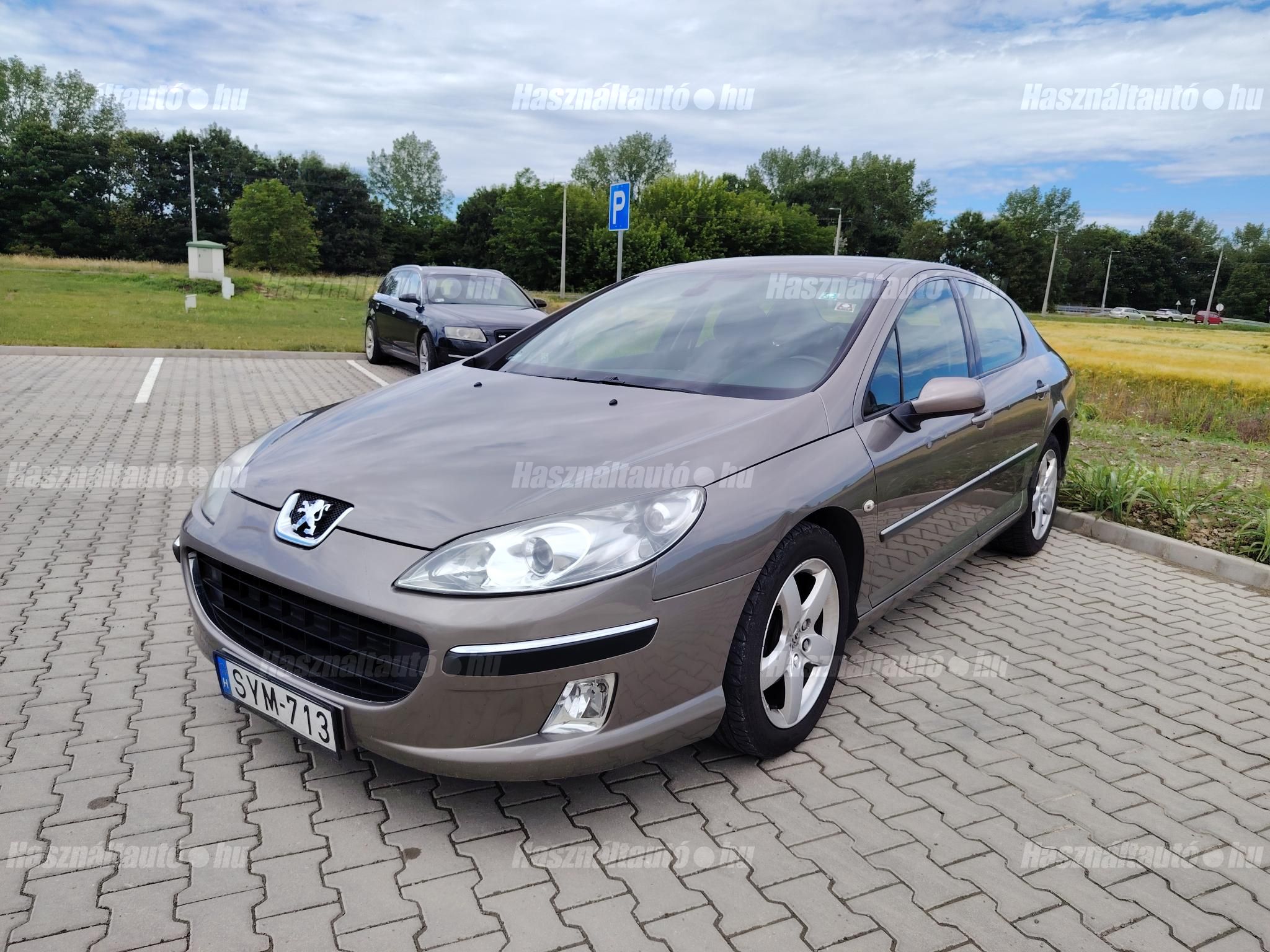 PEUGEOT 407 2006/10 - 1