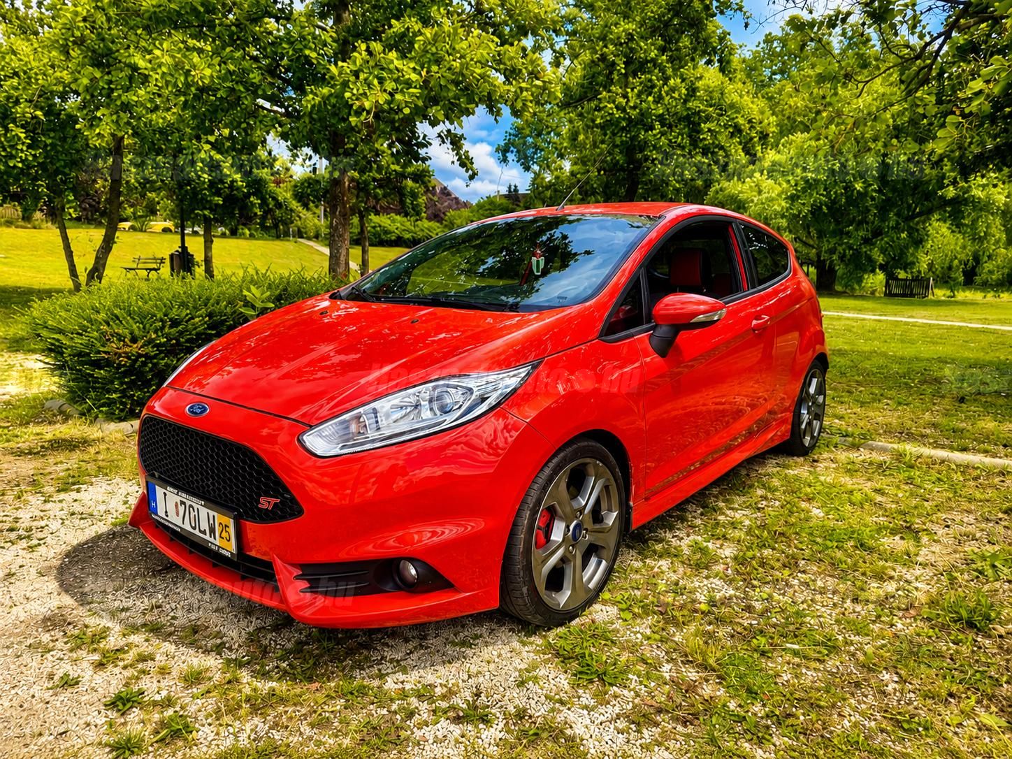 FORD FIESTA 2014/3 - 1