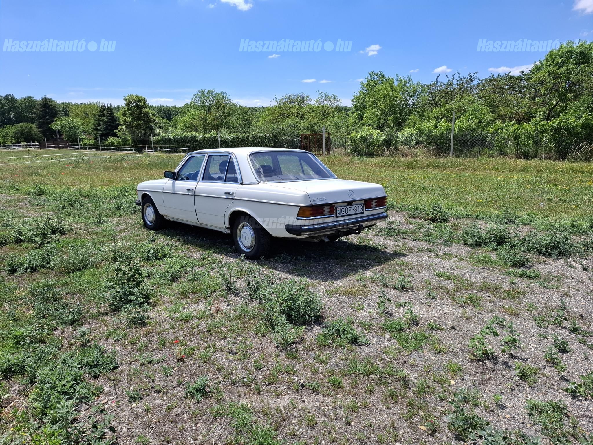 MERCEDES-BENZ W 123 1980/1 - 1